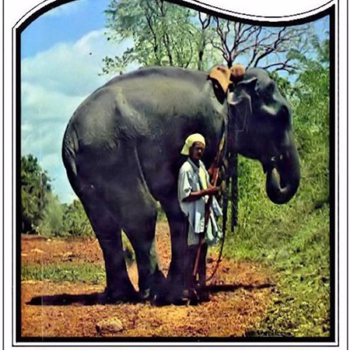 (Resumen) Raja, el elefante - C. Bernard Rutley