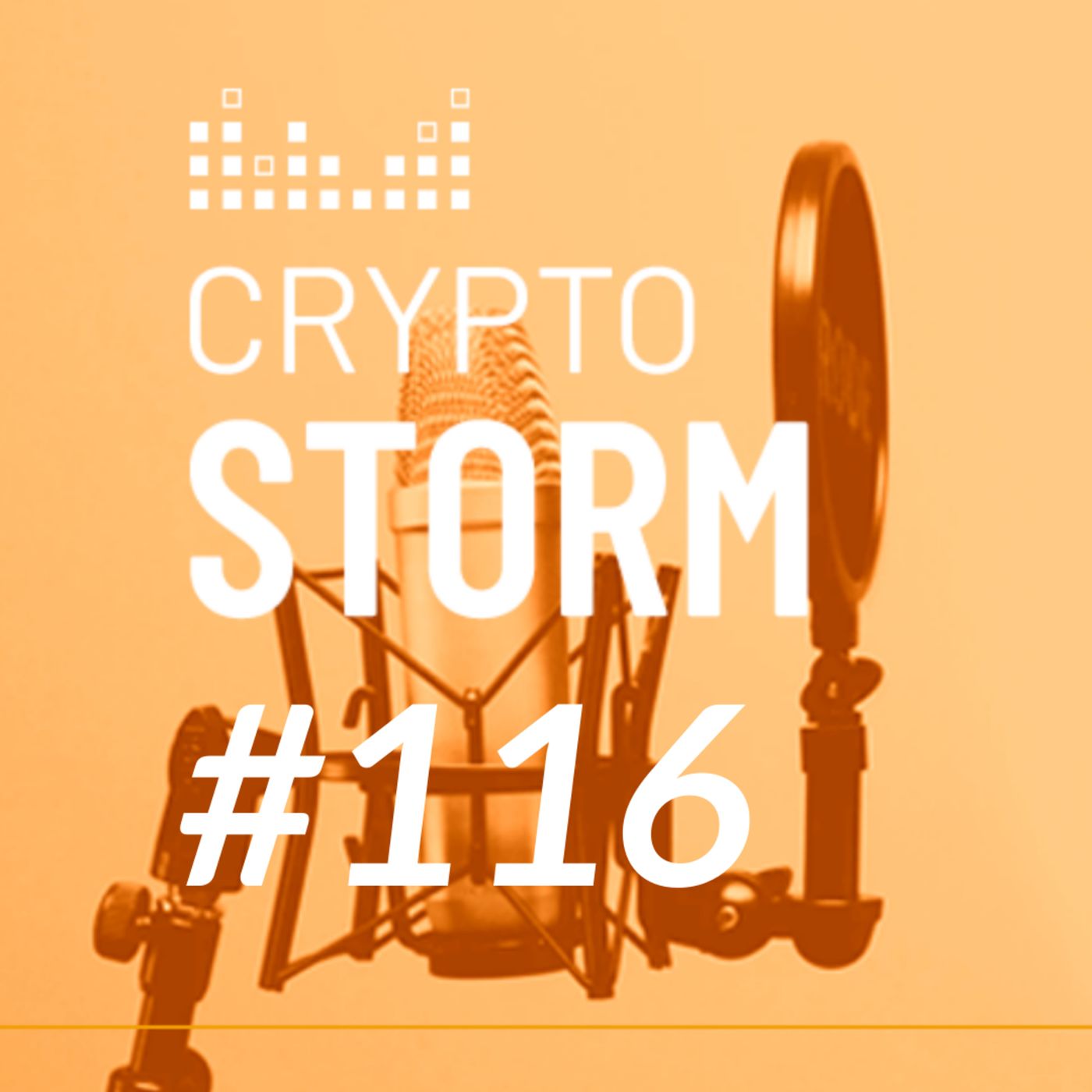 Crypto Storm
