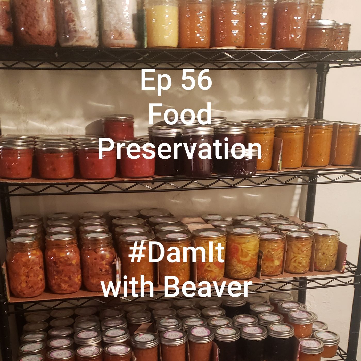 Damit With Beaver
