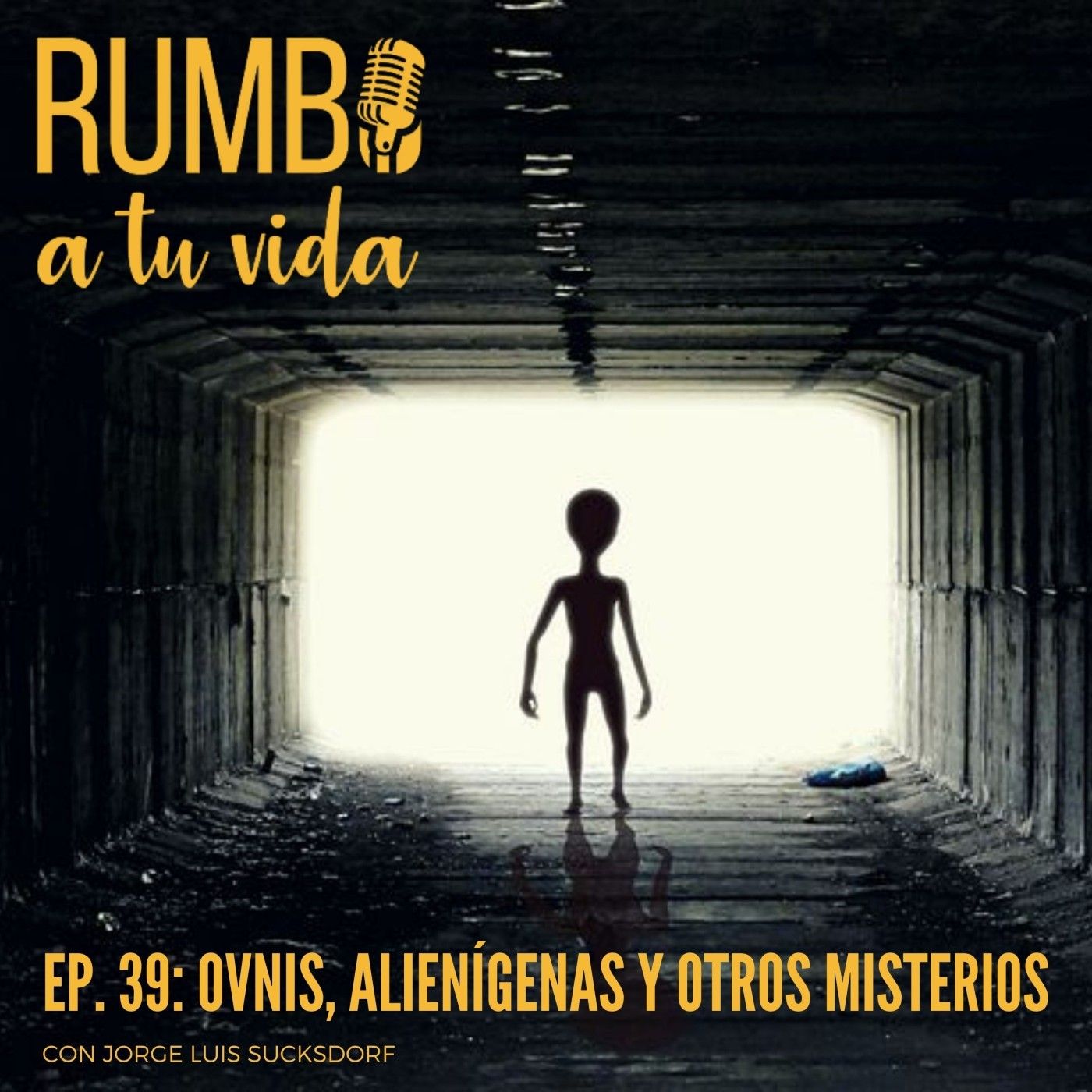 RUMBO A TU VIDA