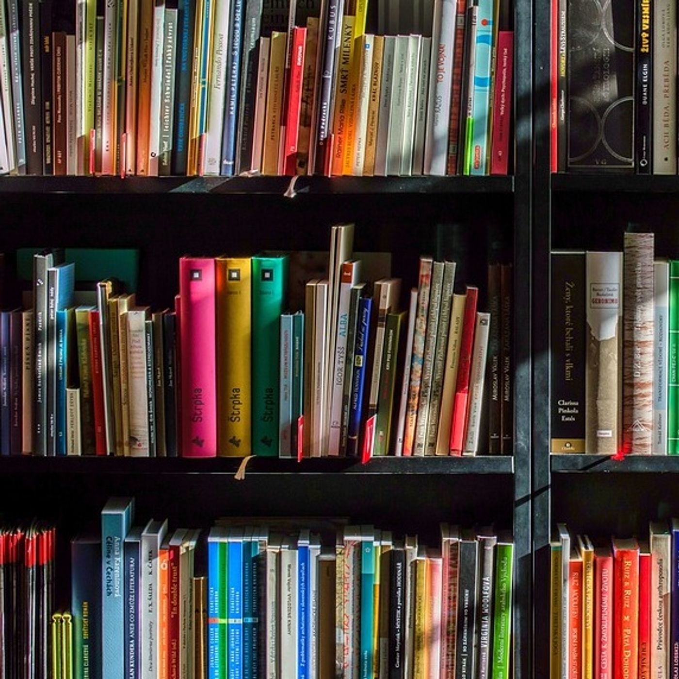 Bookonair con la prof.ssa Pancucci