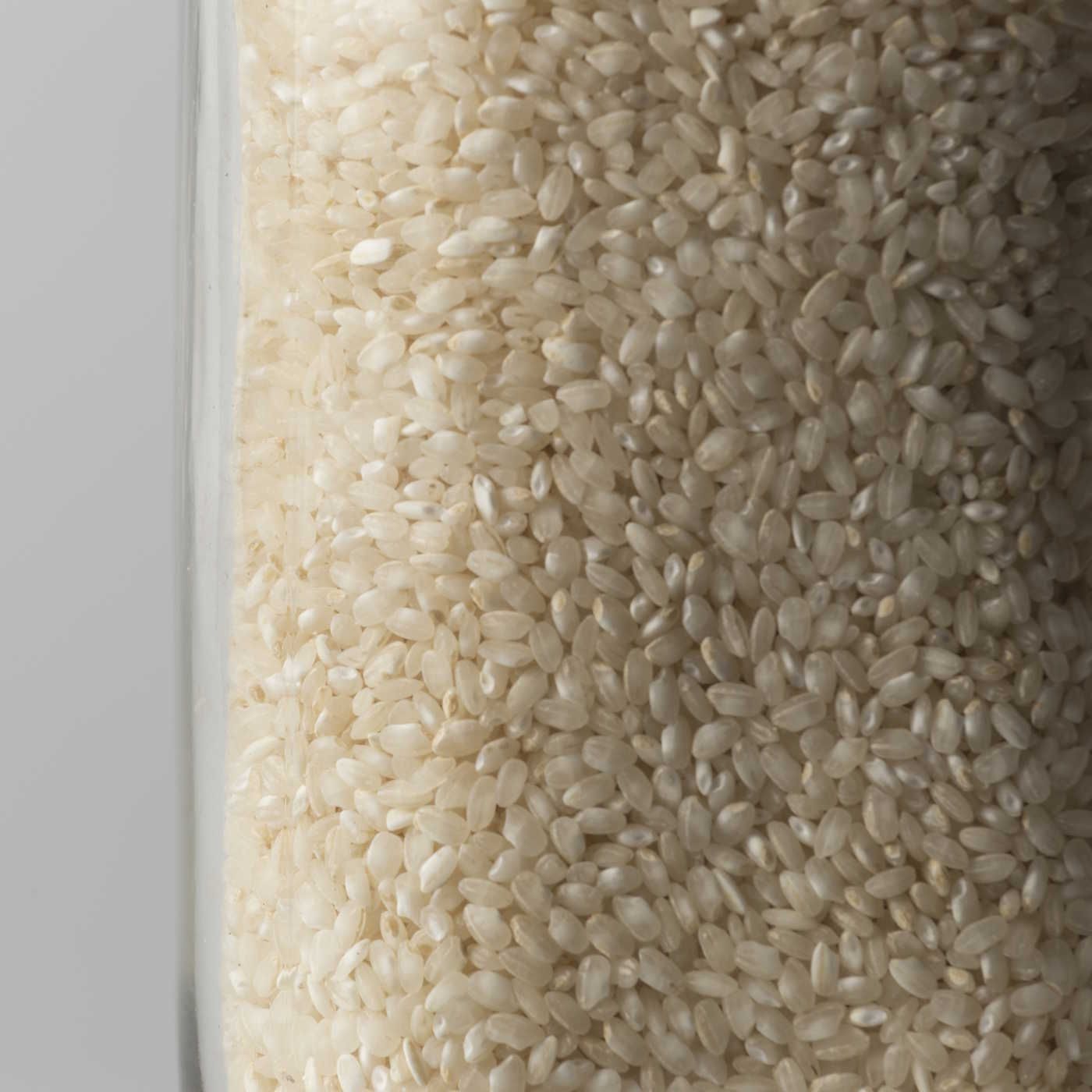 La masiva importación de arroz de Myanmar y Camboya amenaza el futuro del sector en España