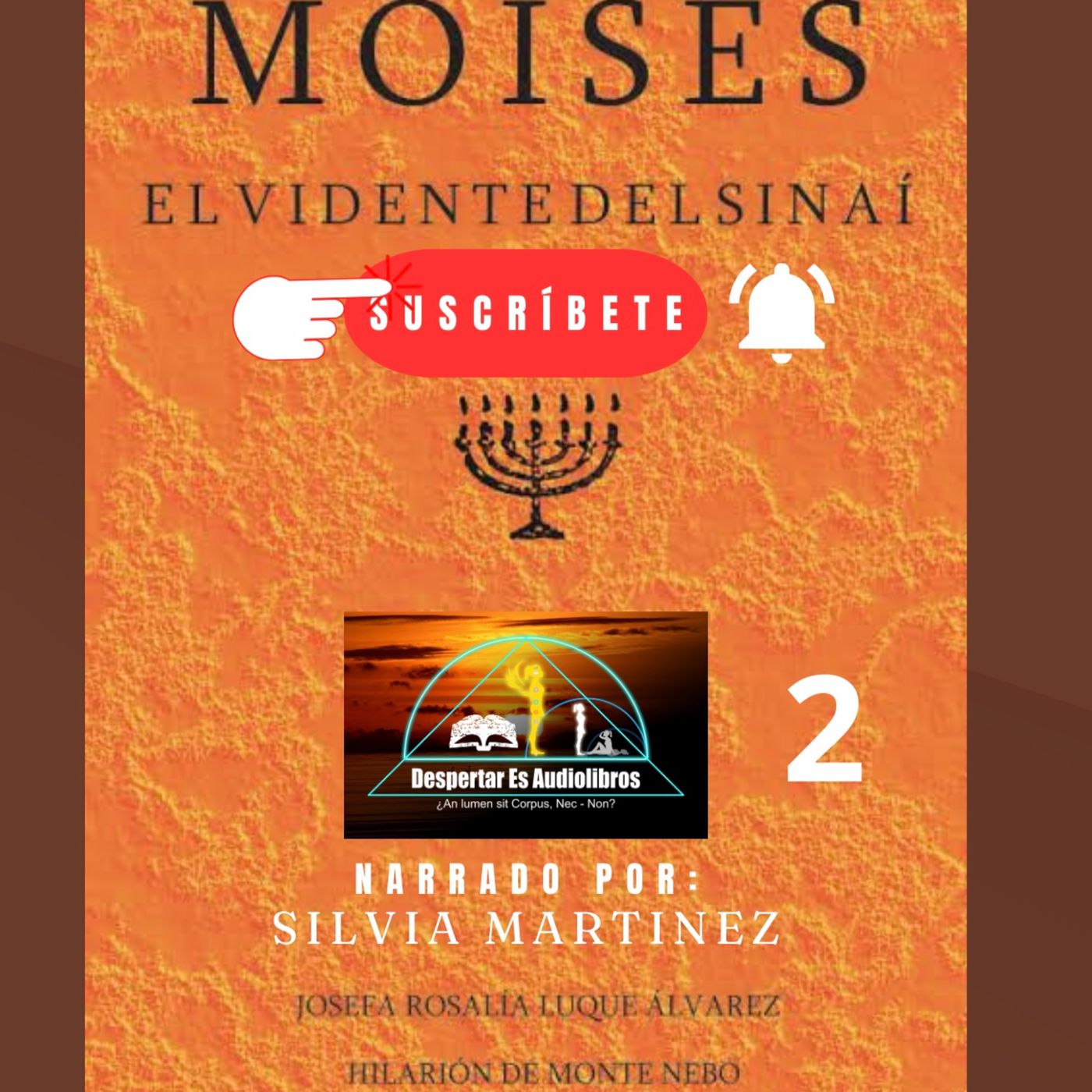 La Voz Interior. Silvia Martínez1