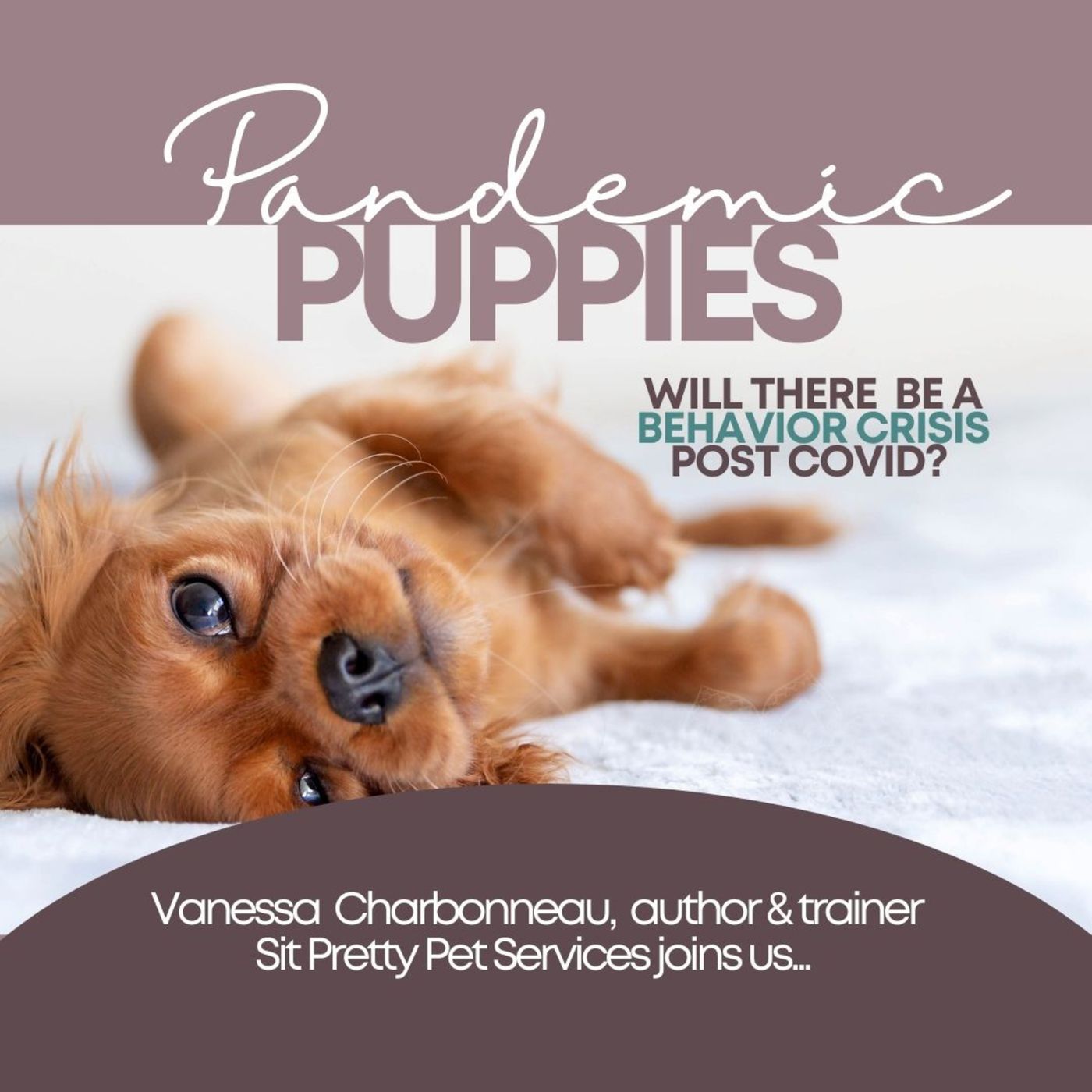 Pandemic Puppies: Will There Be A Behavioral Crisis?