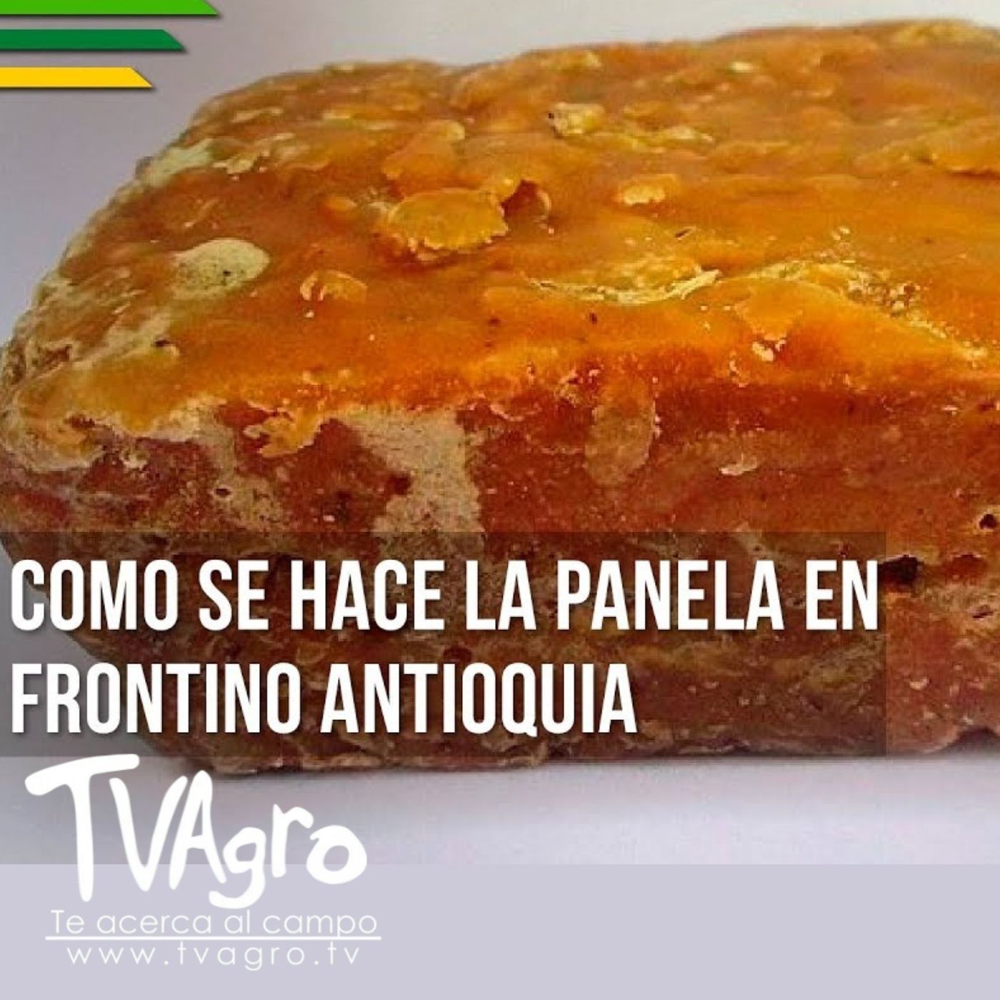 TV AGRO