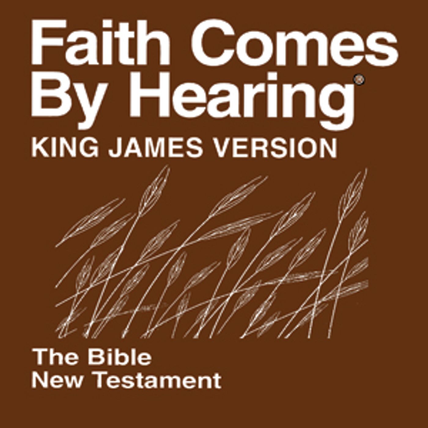 hearing KJV audio Bible