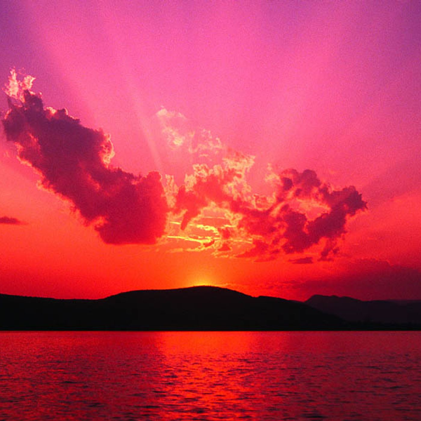 see you cowboy