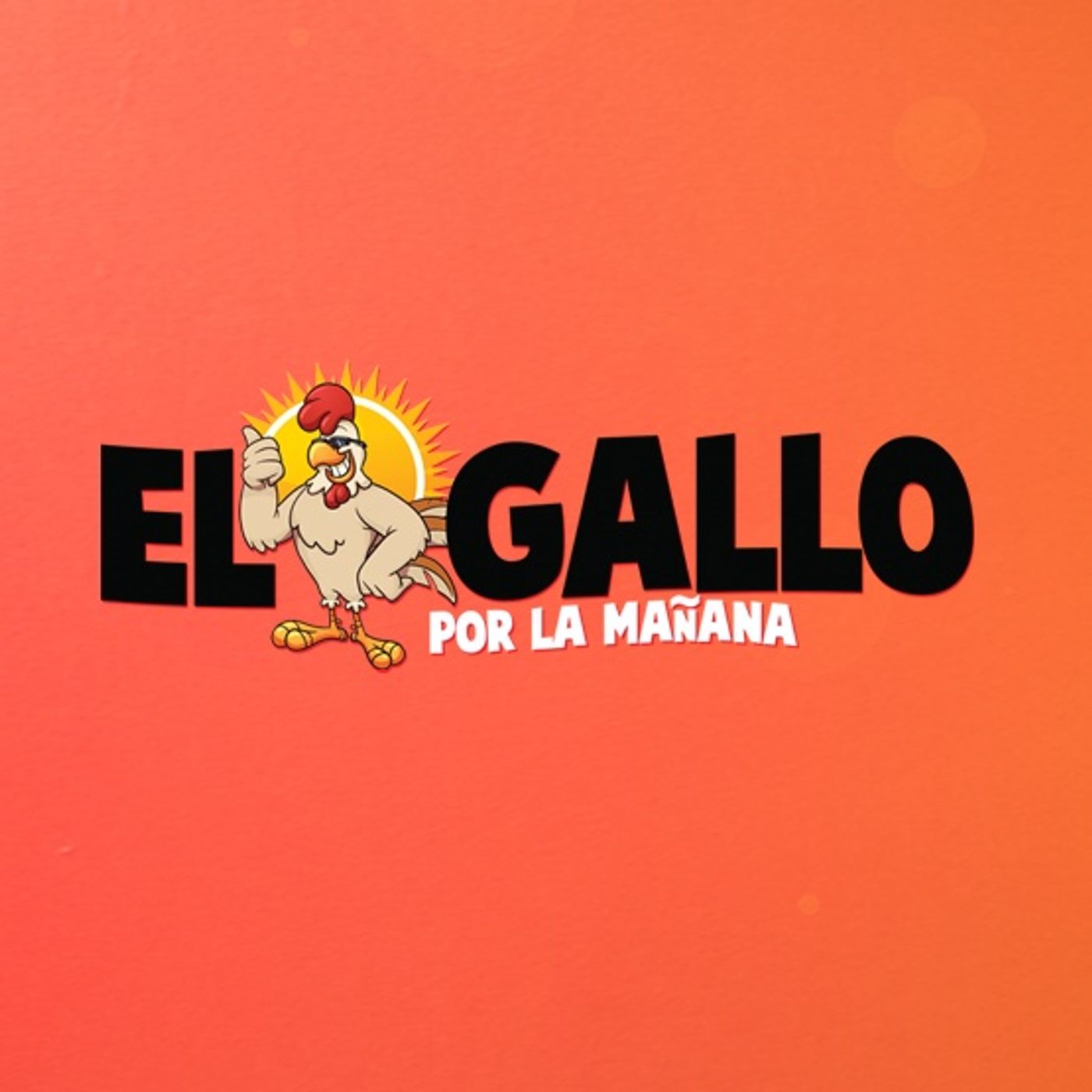 El Gallo Por La Mañana