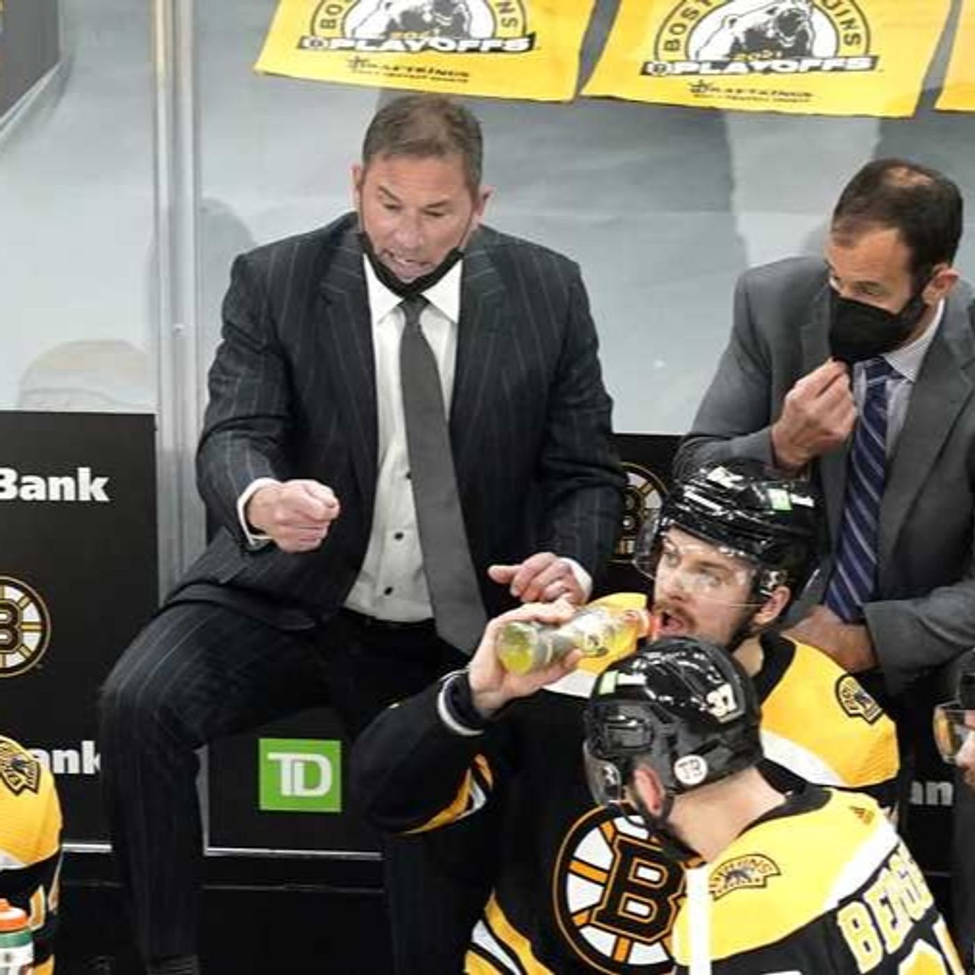 Beantown Sports Wolfcast