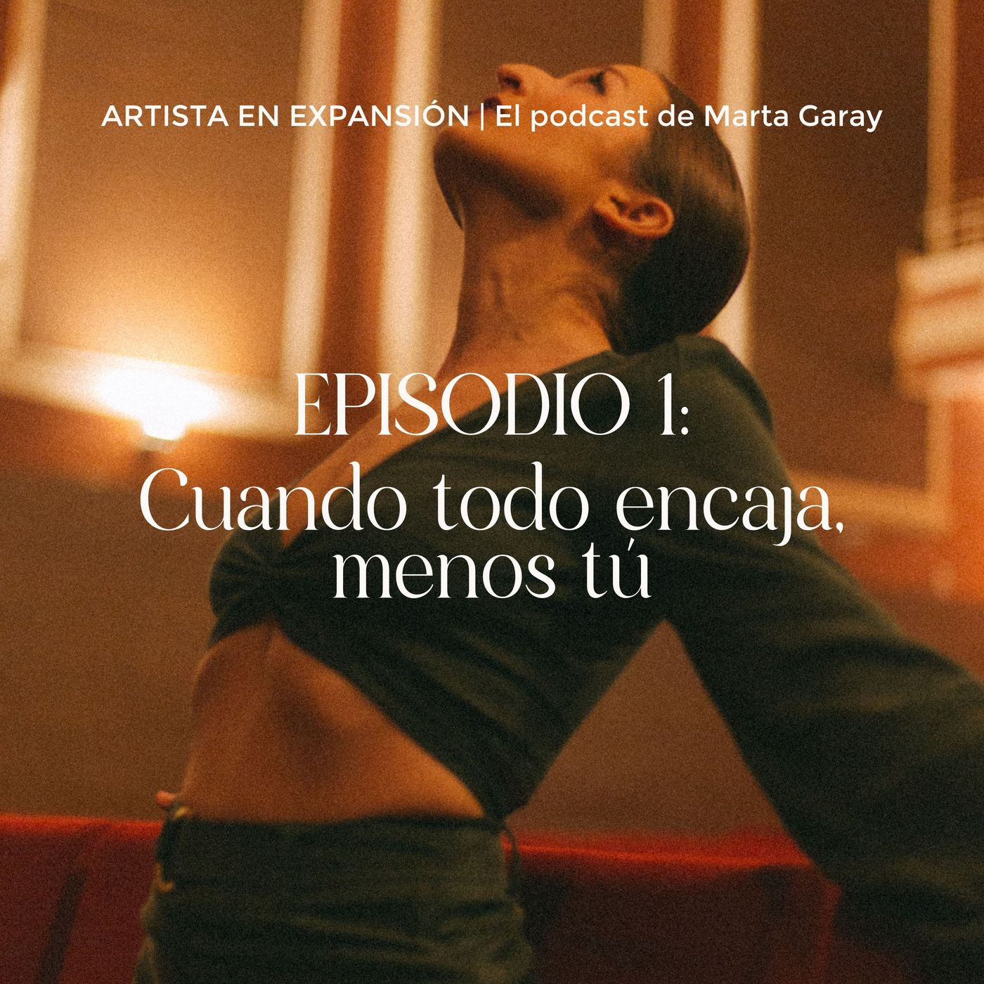 Artista en Expansión