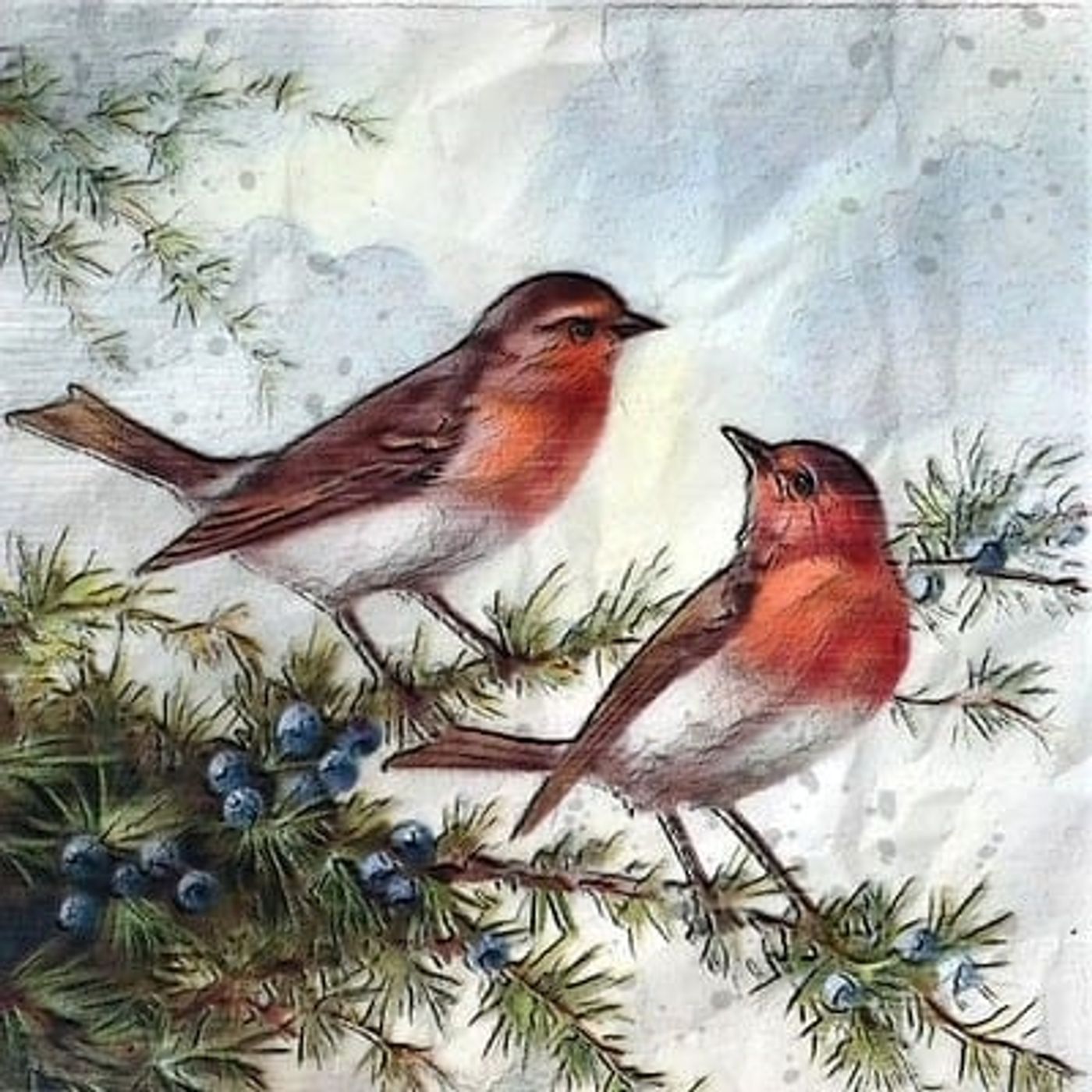 The Robin | Stories About Birds episode artwork