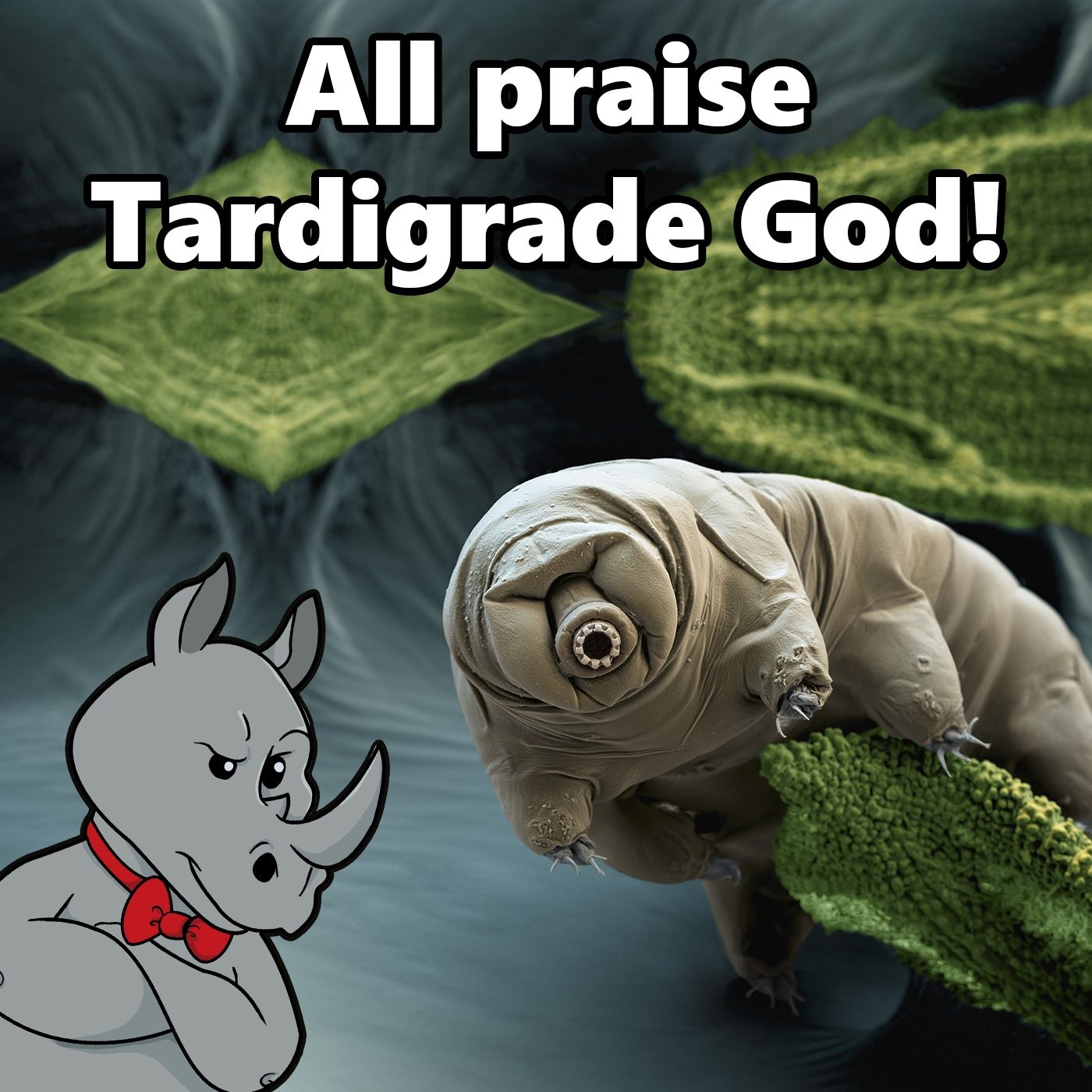 All Praise Tardigrade God!