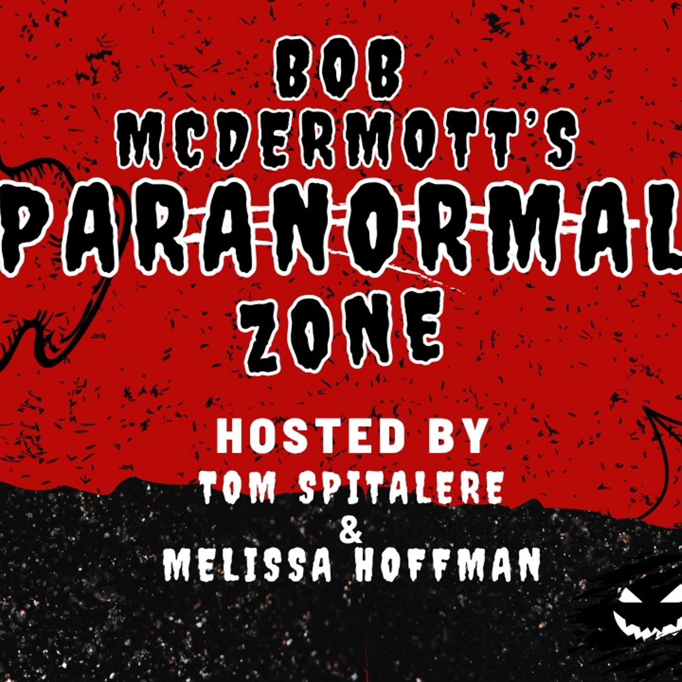 Paranormal Zone Episode 4 Hosted By Tom Spitalere & Bob Mcdermott w/ Special Guest Patti Anastasia episode artwork