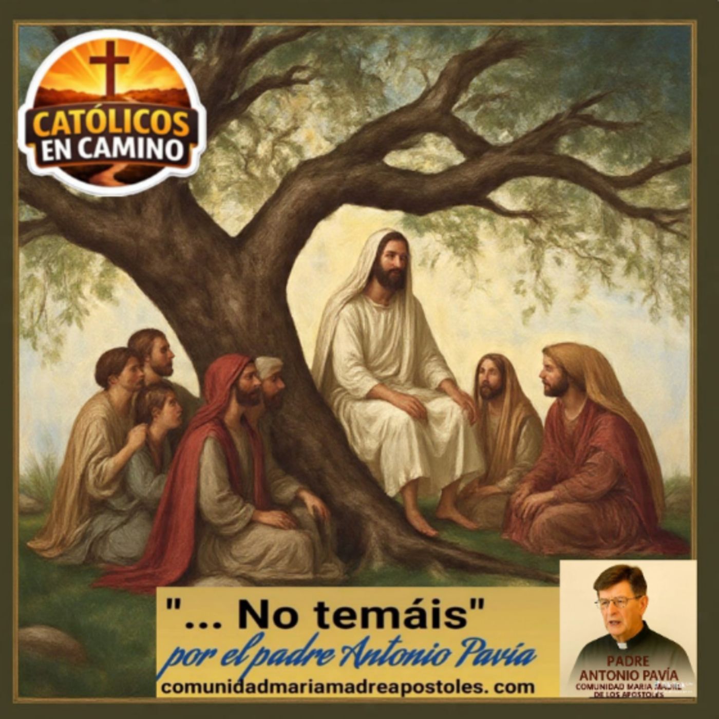 Santo Evangelio del XII Domingo del Tiempo Ordinario
  Mt 10,226-33 
Homilia Padre Antonio Pavía episode artwork