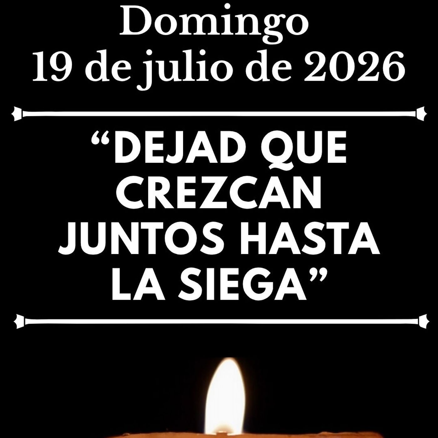 Evangelio del 19 de julio de 2026 - Dejad que crezcan juntos hasta la siega episode artwork