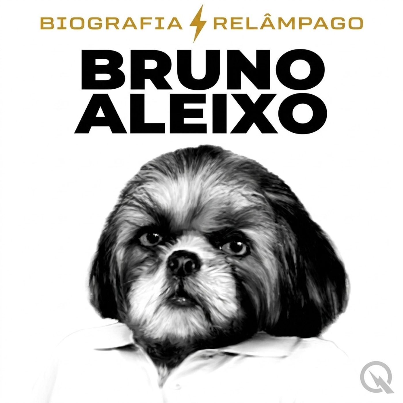 Bruno Aleixo - Biografia Relâmpago