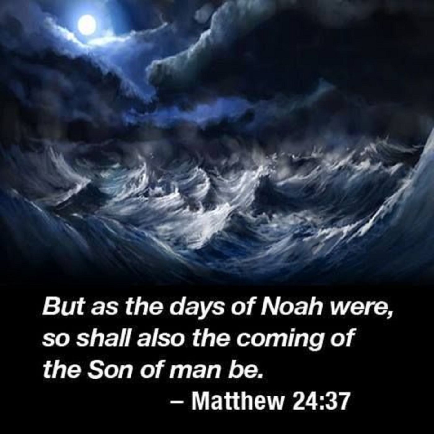 Noah's Day Is Here