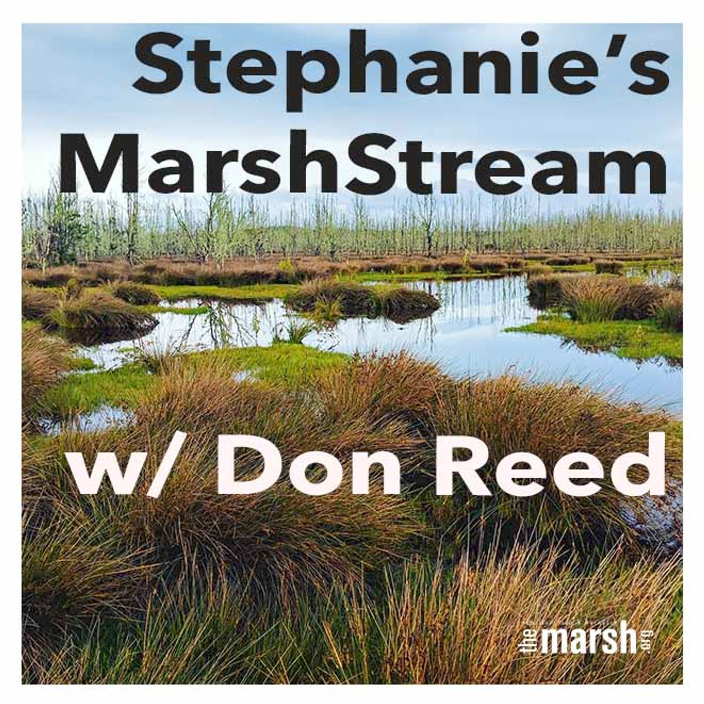 MarshStream, a podcast from The Marsh