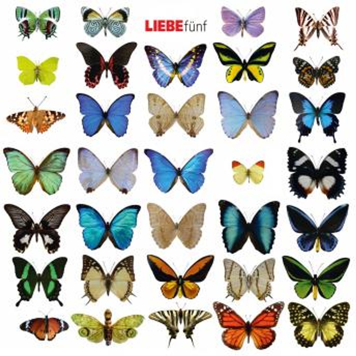 [German] - Liebe fünf by Hagen Rether episode artwork