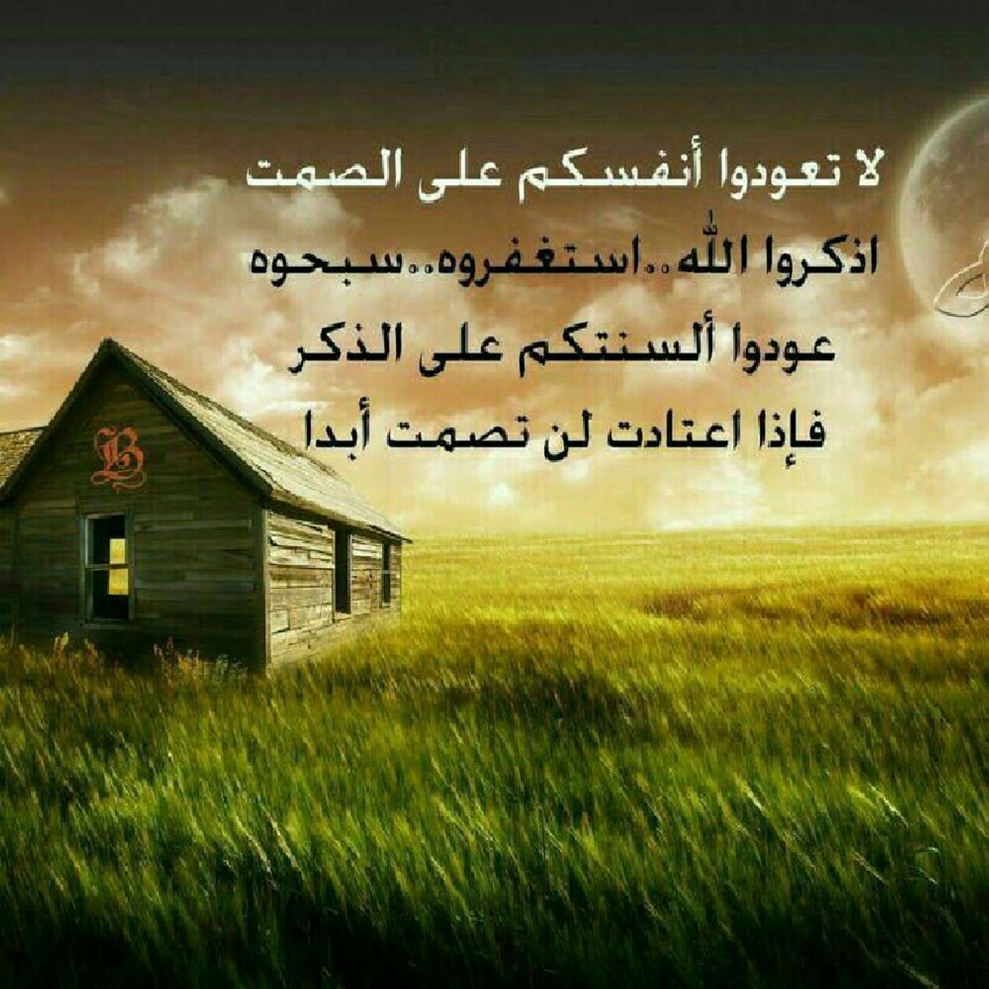 اذاعة سعيد