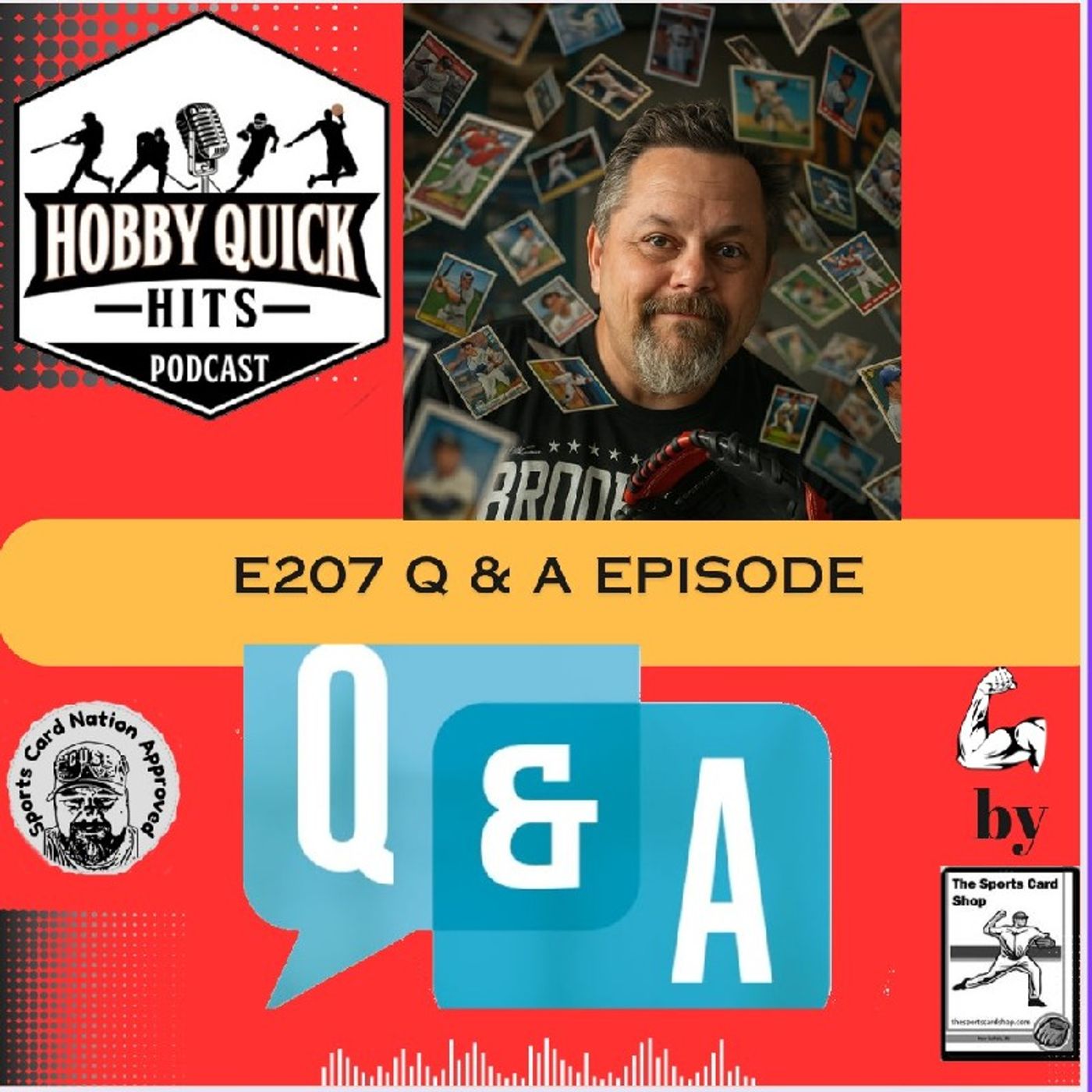 Q & A Time Again! Hobby Quick Hits E207