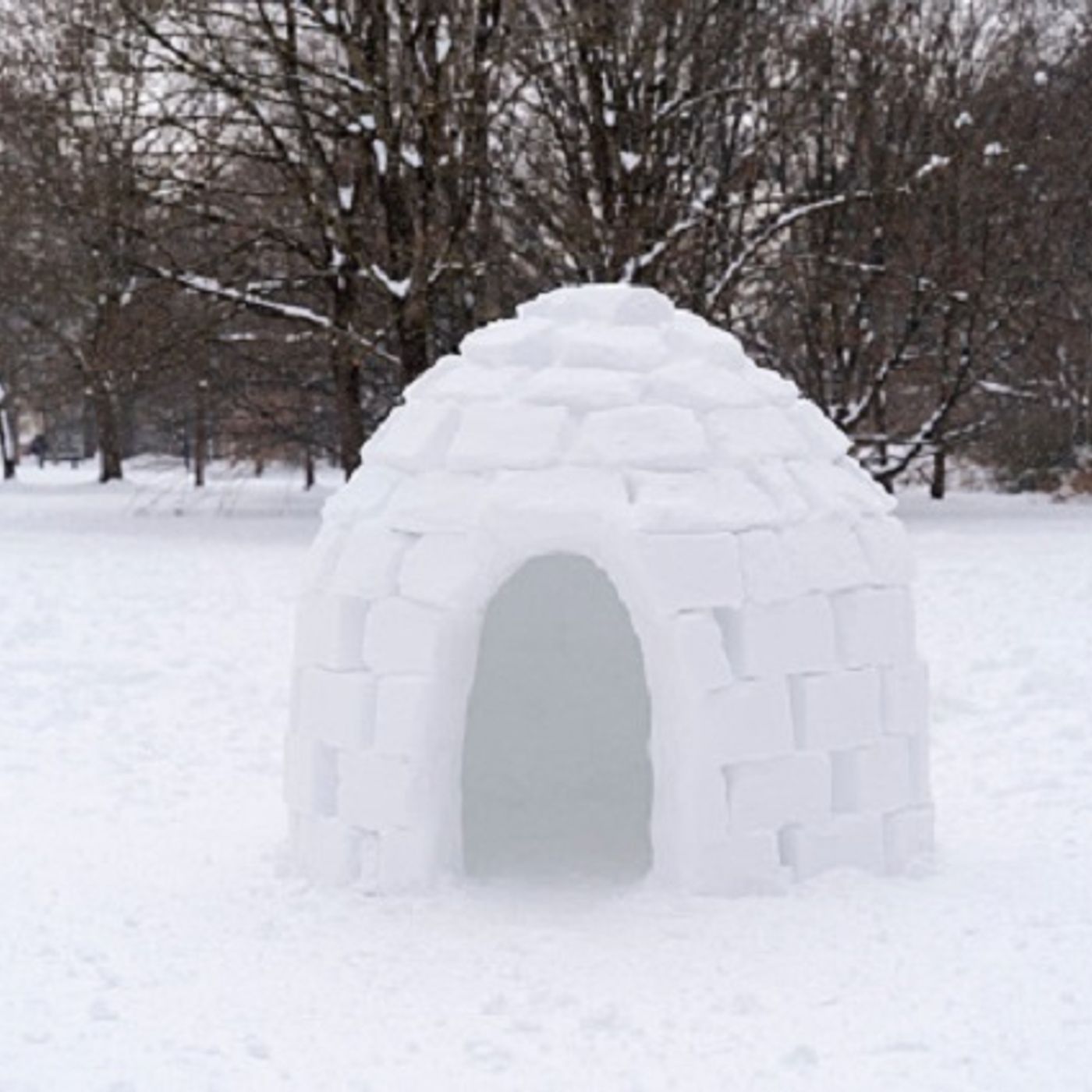 (Smile File) Principal Uses Snow Day to Do Something Special for Her Kiddos episode artwork