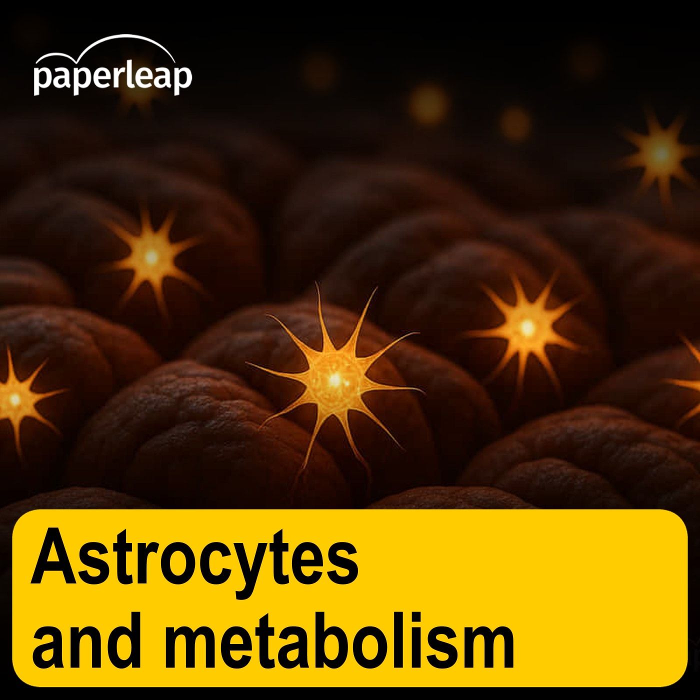 Astrocytes and metabolism Astrocytes and metabolism
