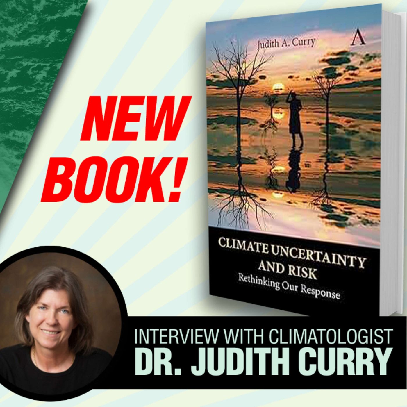 CLIMATE UNCERTAINTY and RISK: An Interview With Climatologist Dr. Judith Curry episode artwork