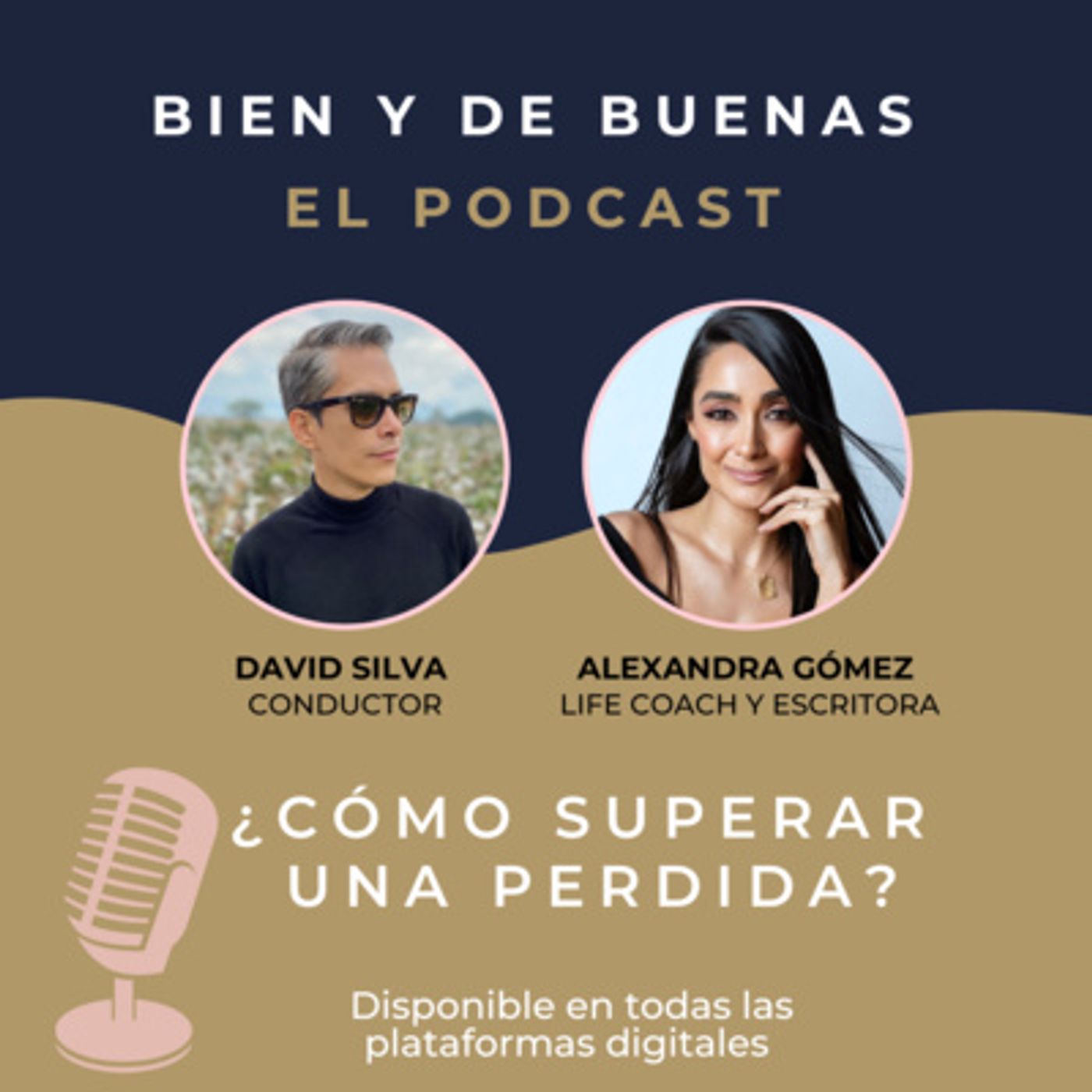T1: E8 - ¿CÓMO SUPERAR UNA PÉRDIDA? - ¿Cómo aprender a transformar el dolor en un propósito? episode artwork