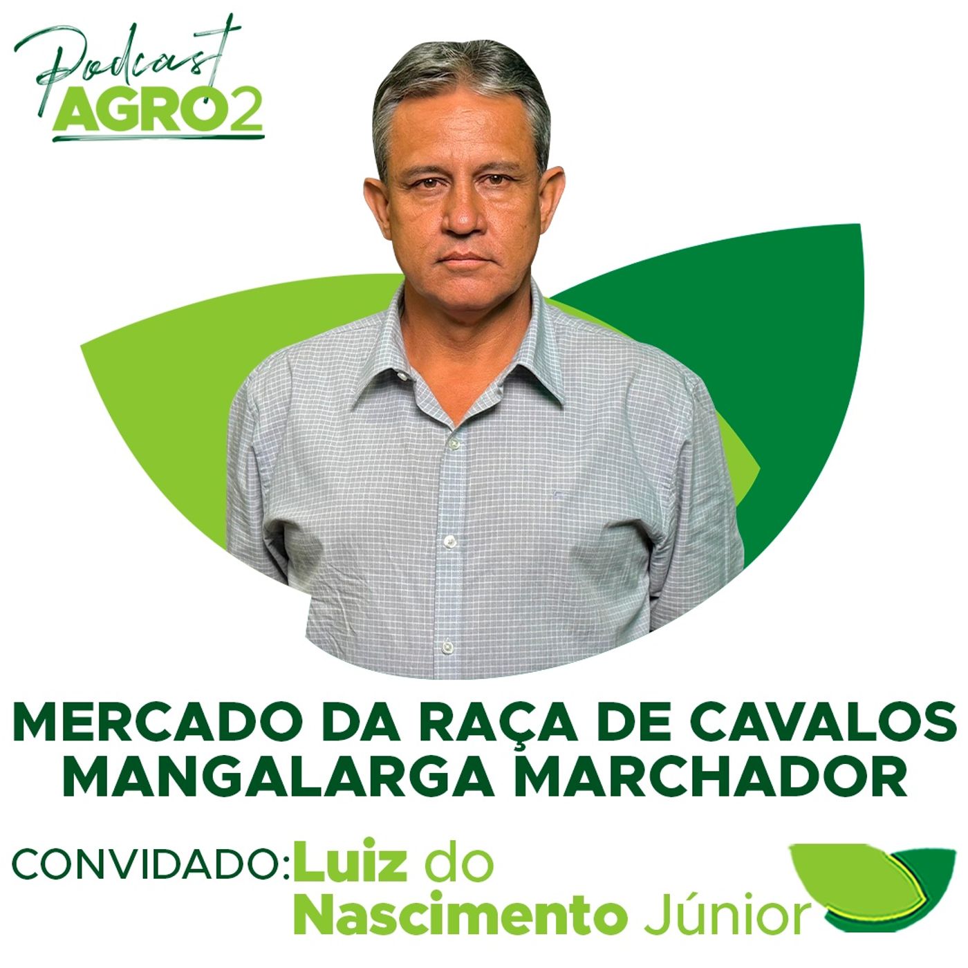 Cavalos Mangalarga Marchador: da lida do campo à reprodução genética e competições rentáveis #334 episode artwork