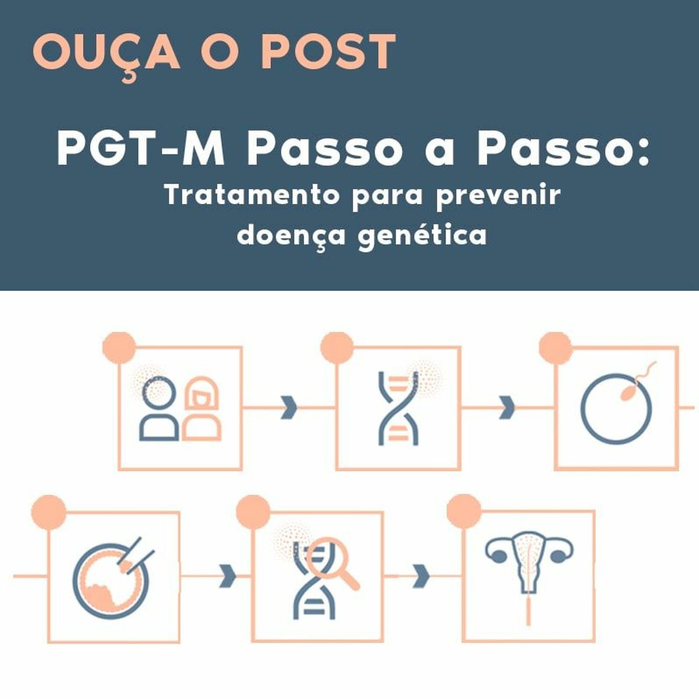 Nós tentantes, Projeto de Vida