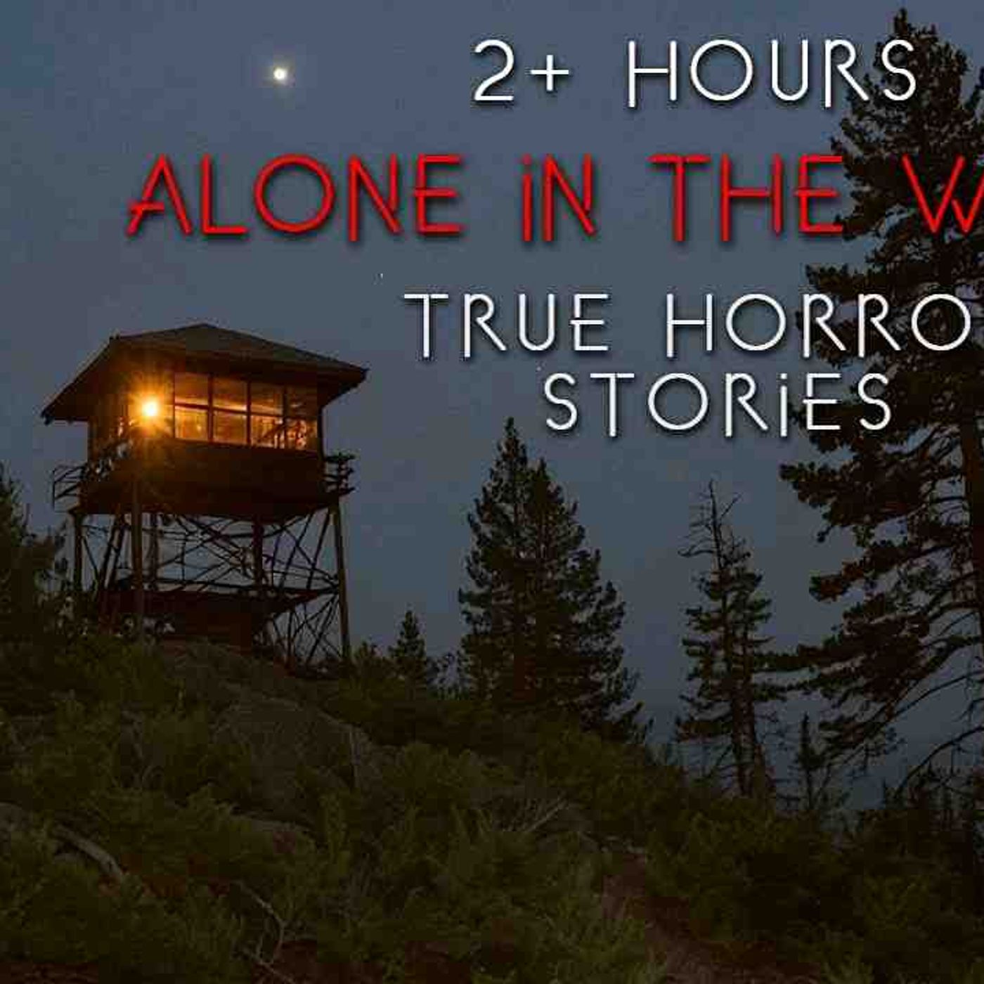 2  Hours _ 15 TRUE Camping Horror Stories (Compilation)(MP3_160K) episode artwork