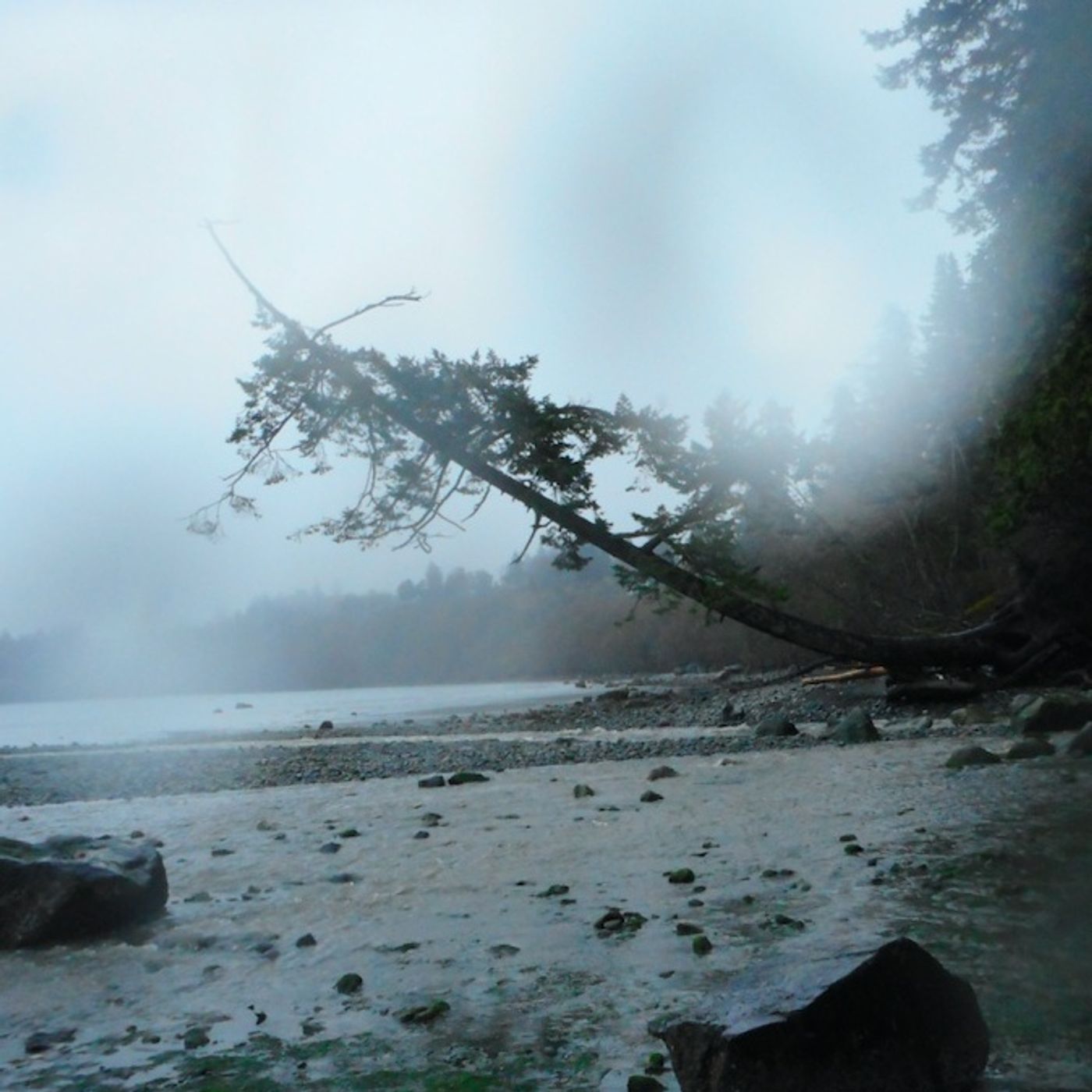 Douglas Creek to the Sea.