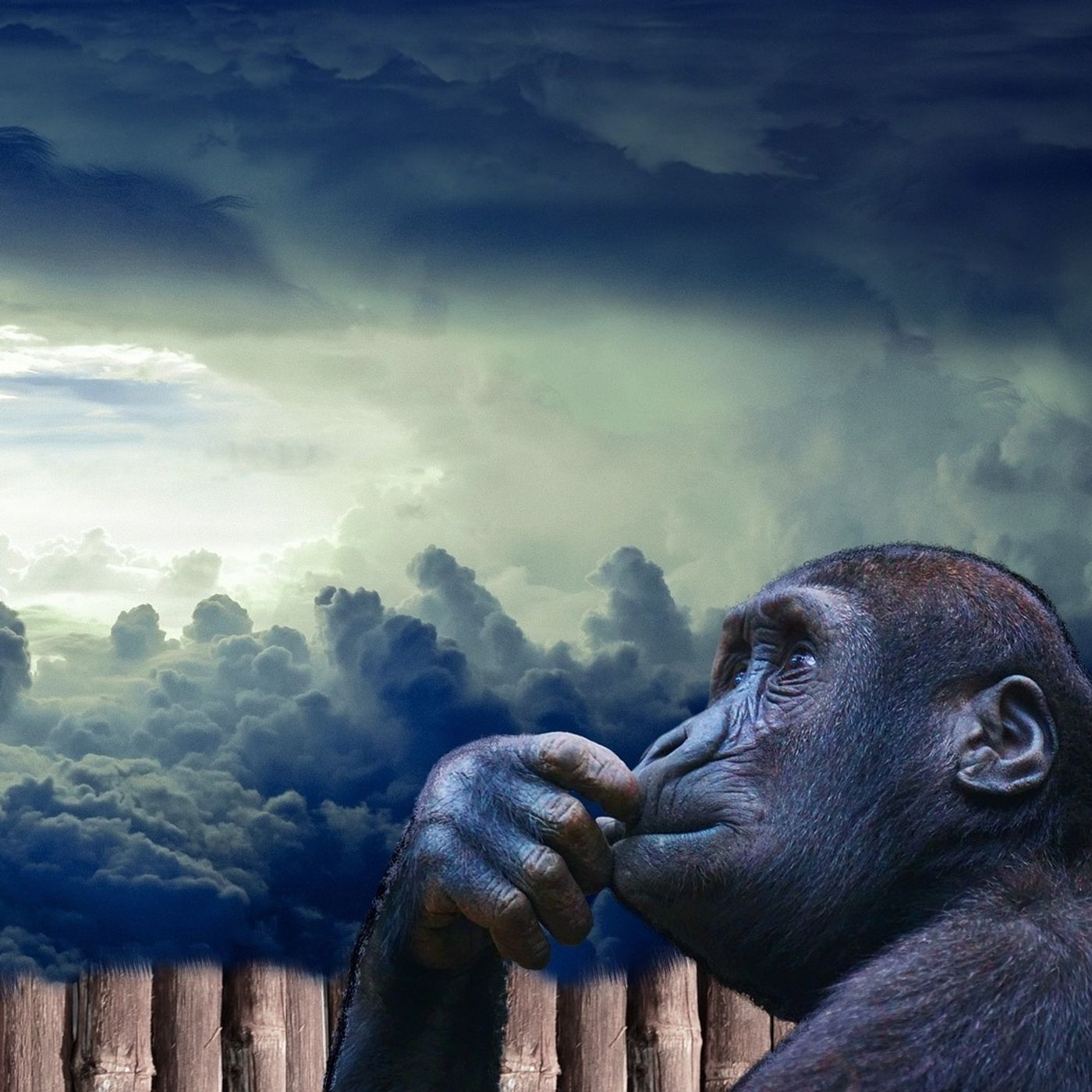 Unleashing Your Potential