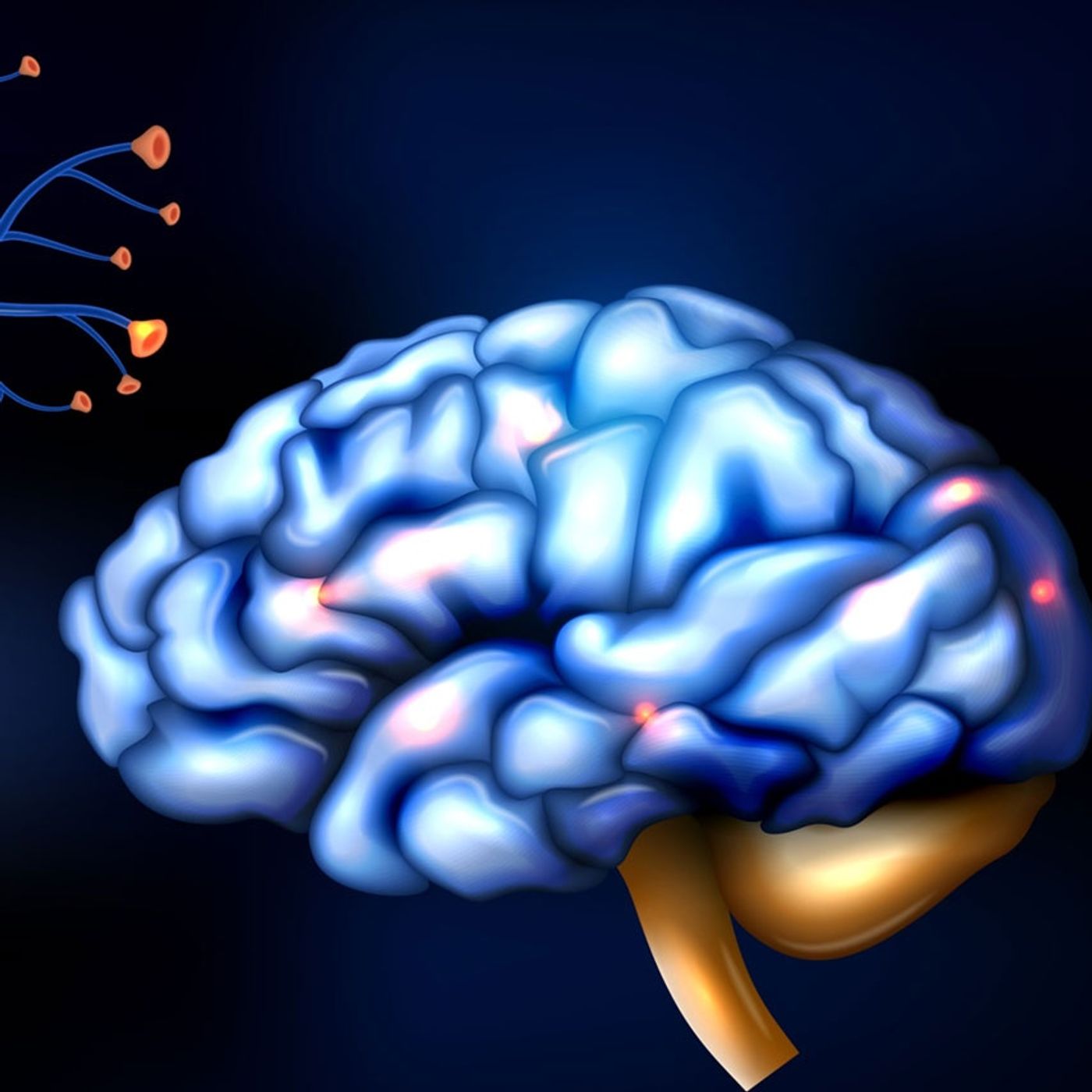 Malattie neurodegenerative: la prevenzione attraverso alimentazione e attività fisica episode artwork