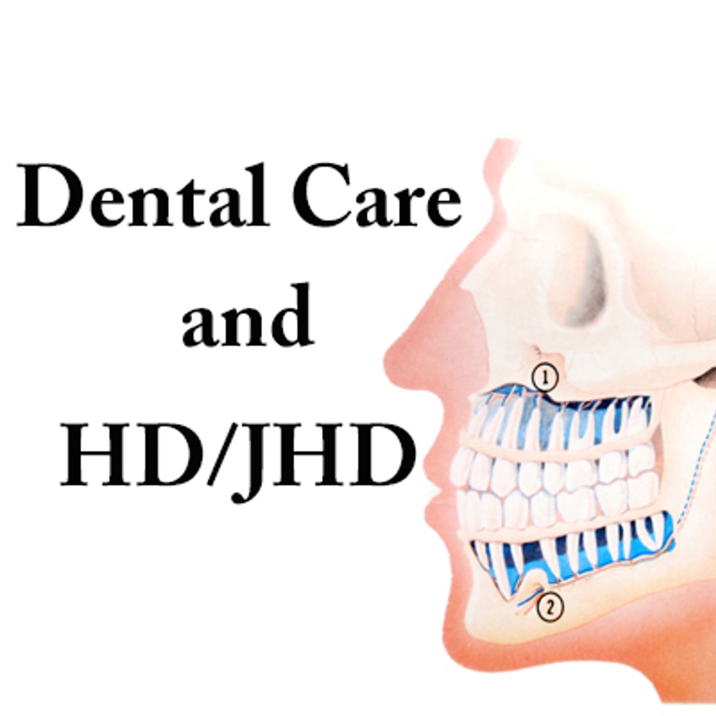 WeHaveAVoice - LIVE "Dental Care and HD/JHD" episode artwork