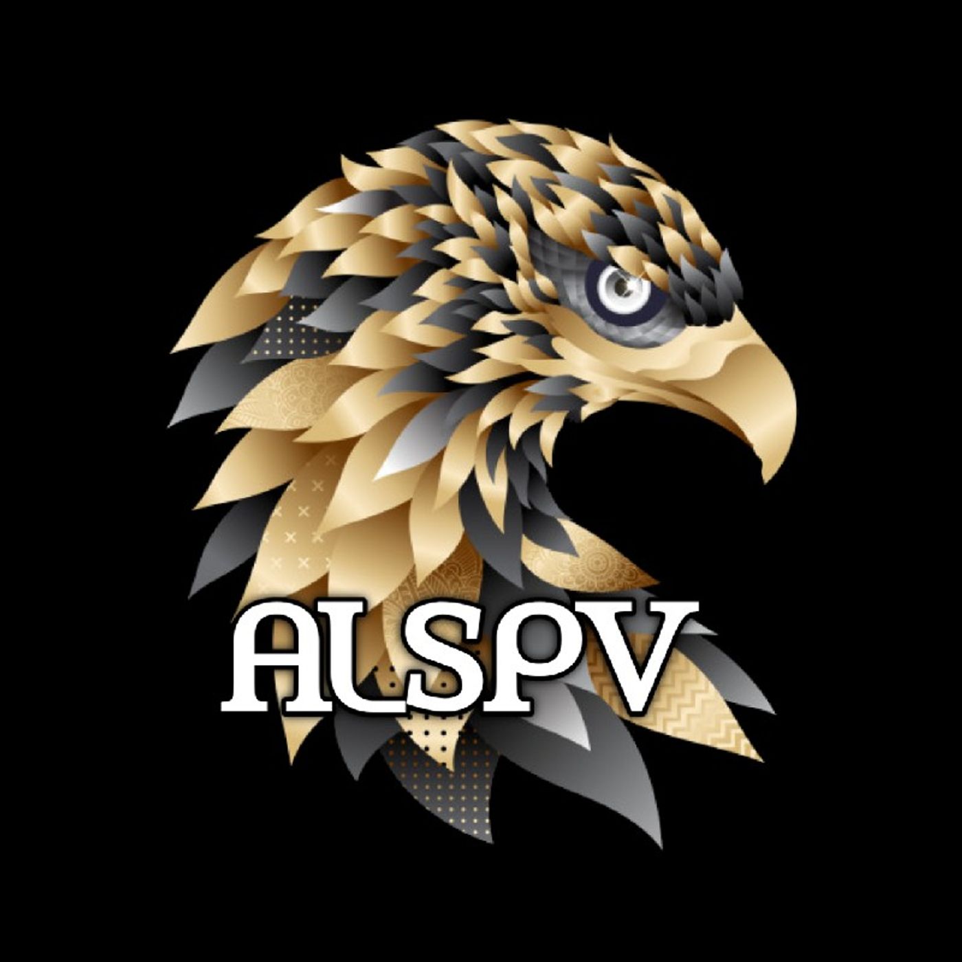 Programa 33- ALSPV episode artwork