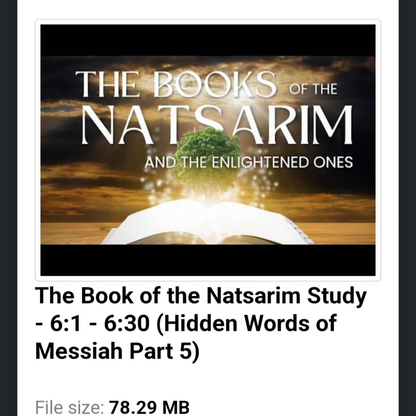The Book of the Natsarim Study - 6:1 - 6:30 (Hidden Words of Messiah Part 5) episode artwork