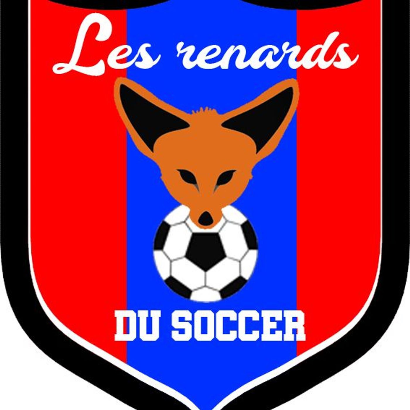 Renards Du Soccer - Épisode 7 episode artwork