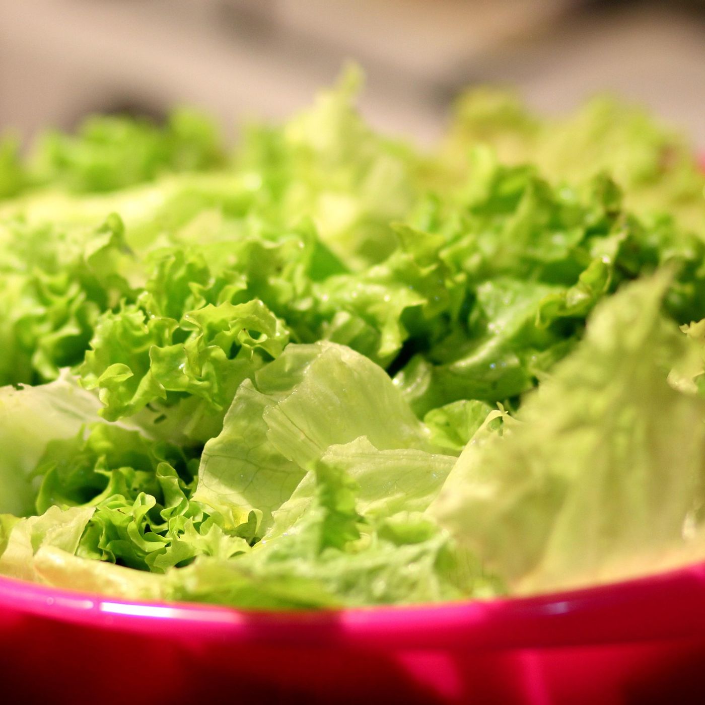 L\'alimentazione by Elisabetta