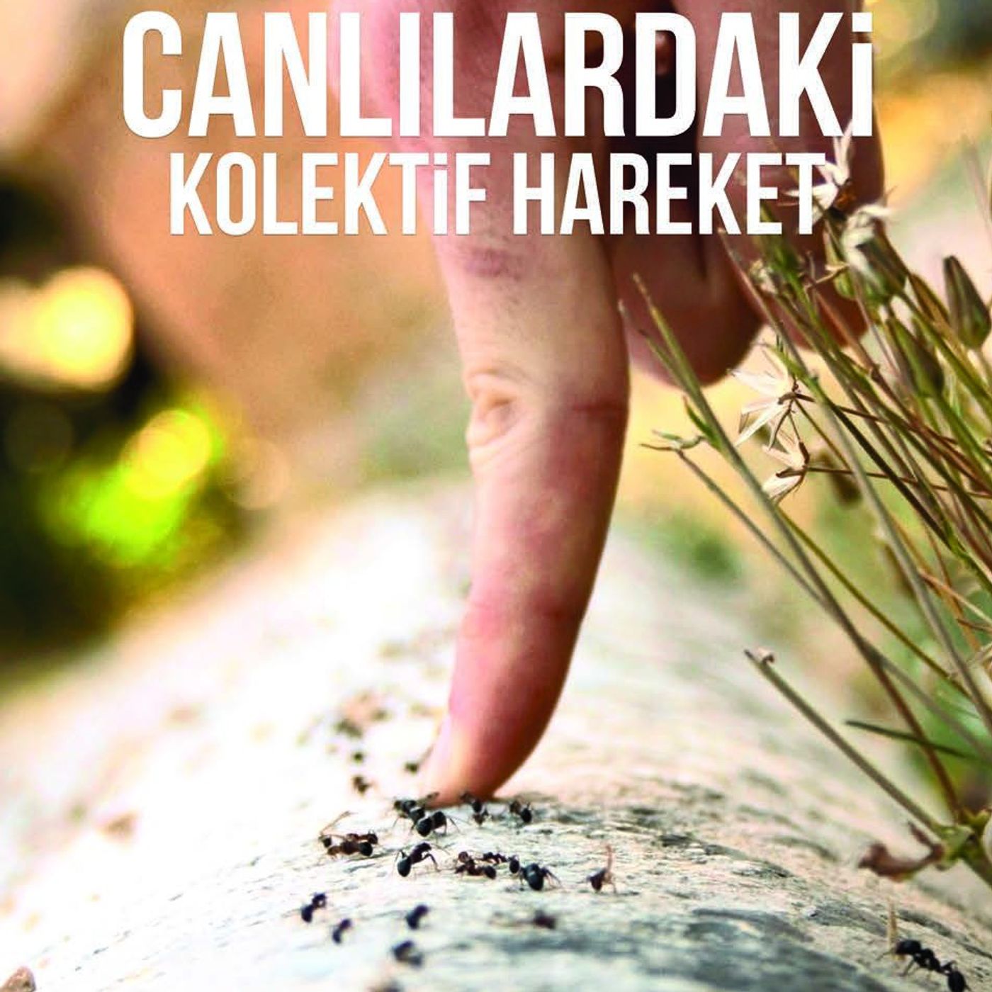 Canlılardaki Kollektif Hareket episode artwork
