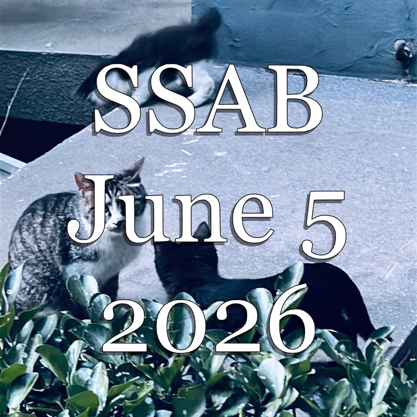 SSAB - June 5, 2026