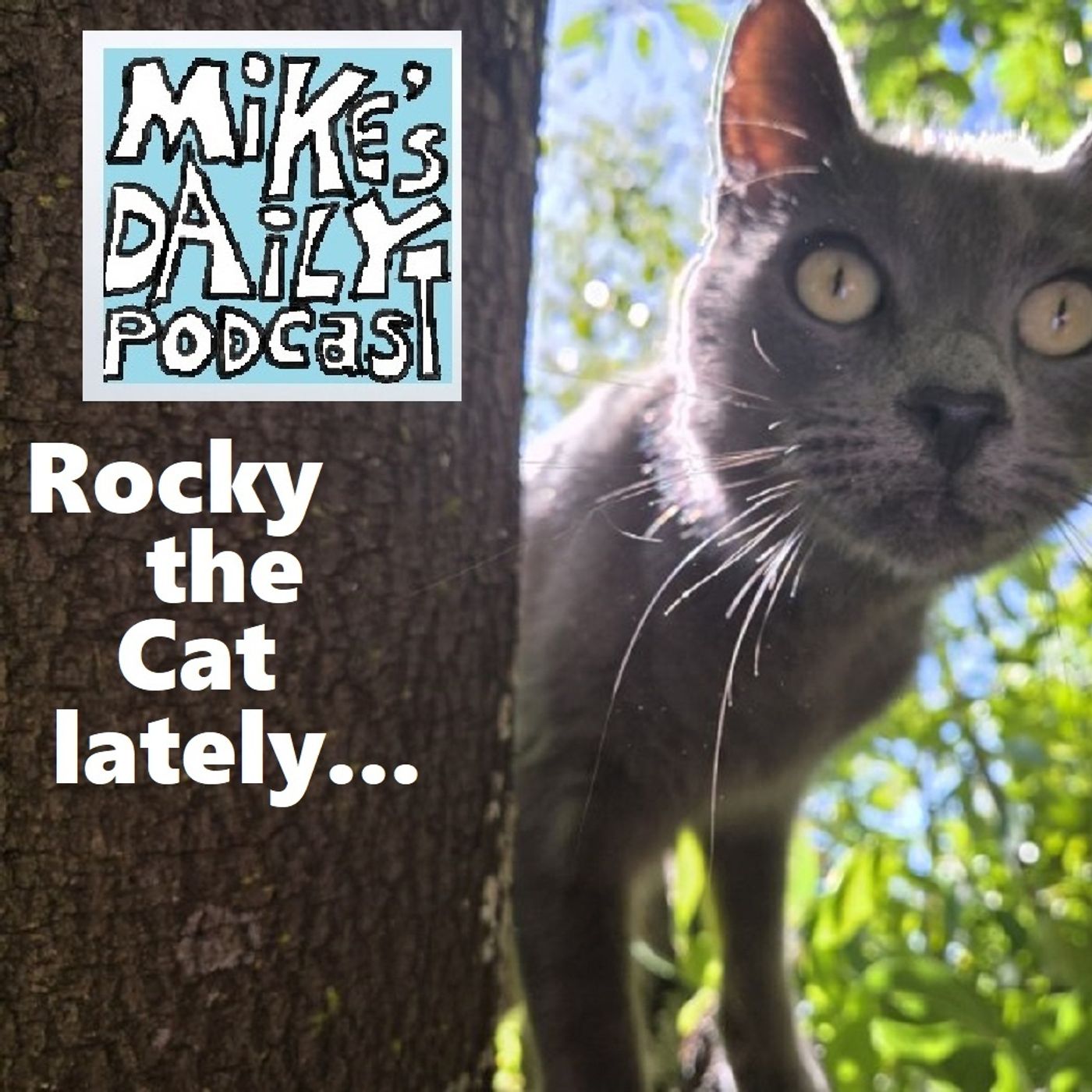 MikesDailyPodcast 3334 Philanthropy episode artwork