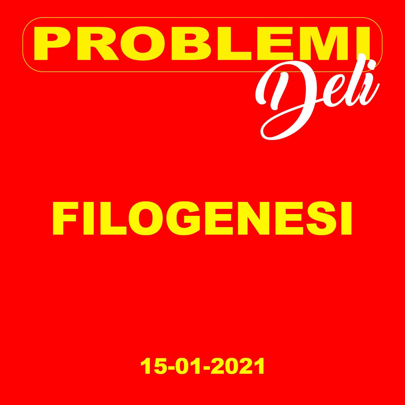 Problemi DELI