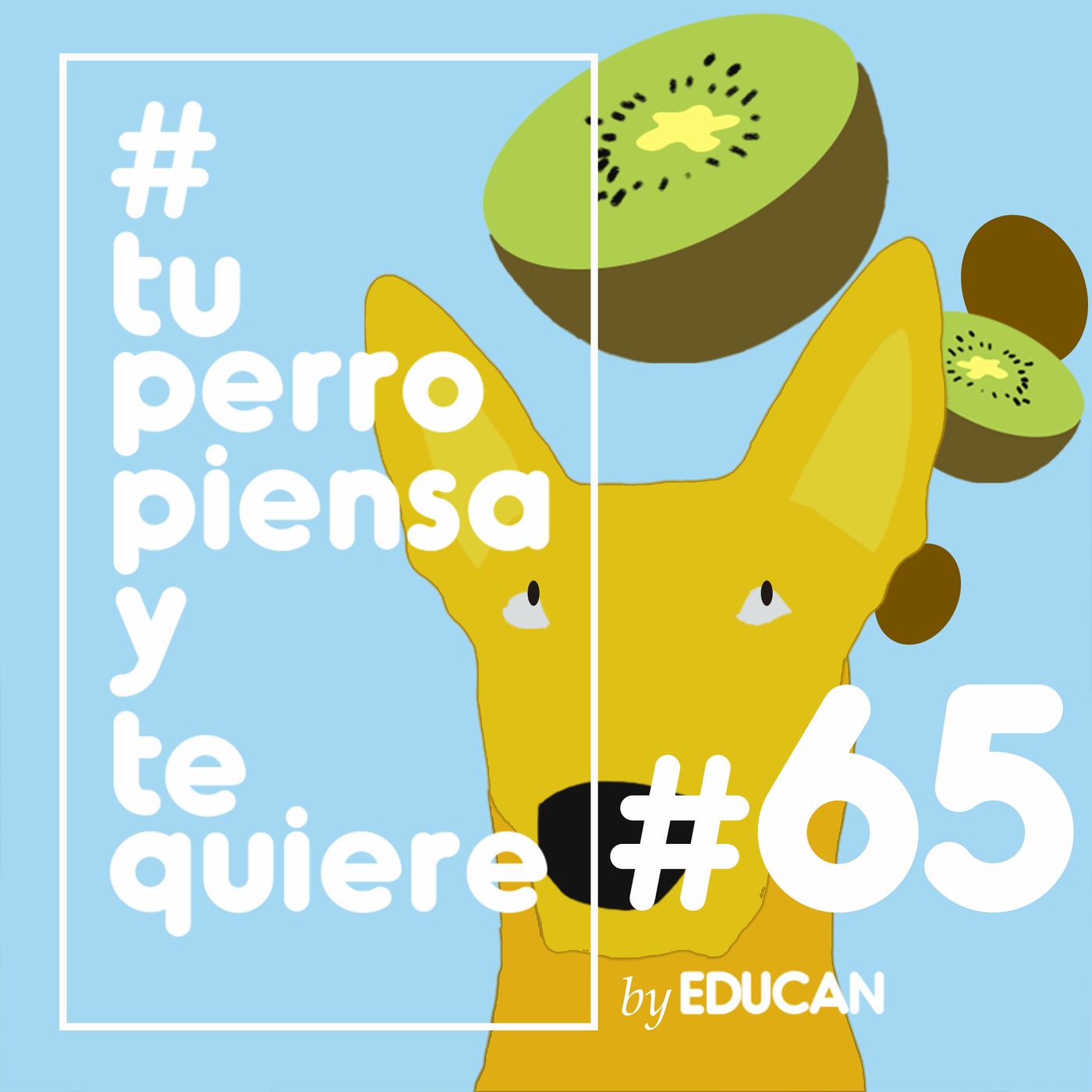 Tu perro piensa y te quiere