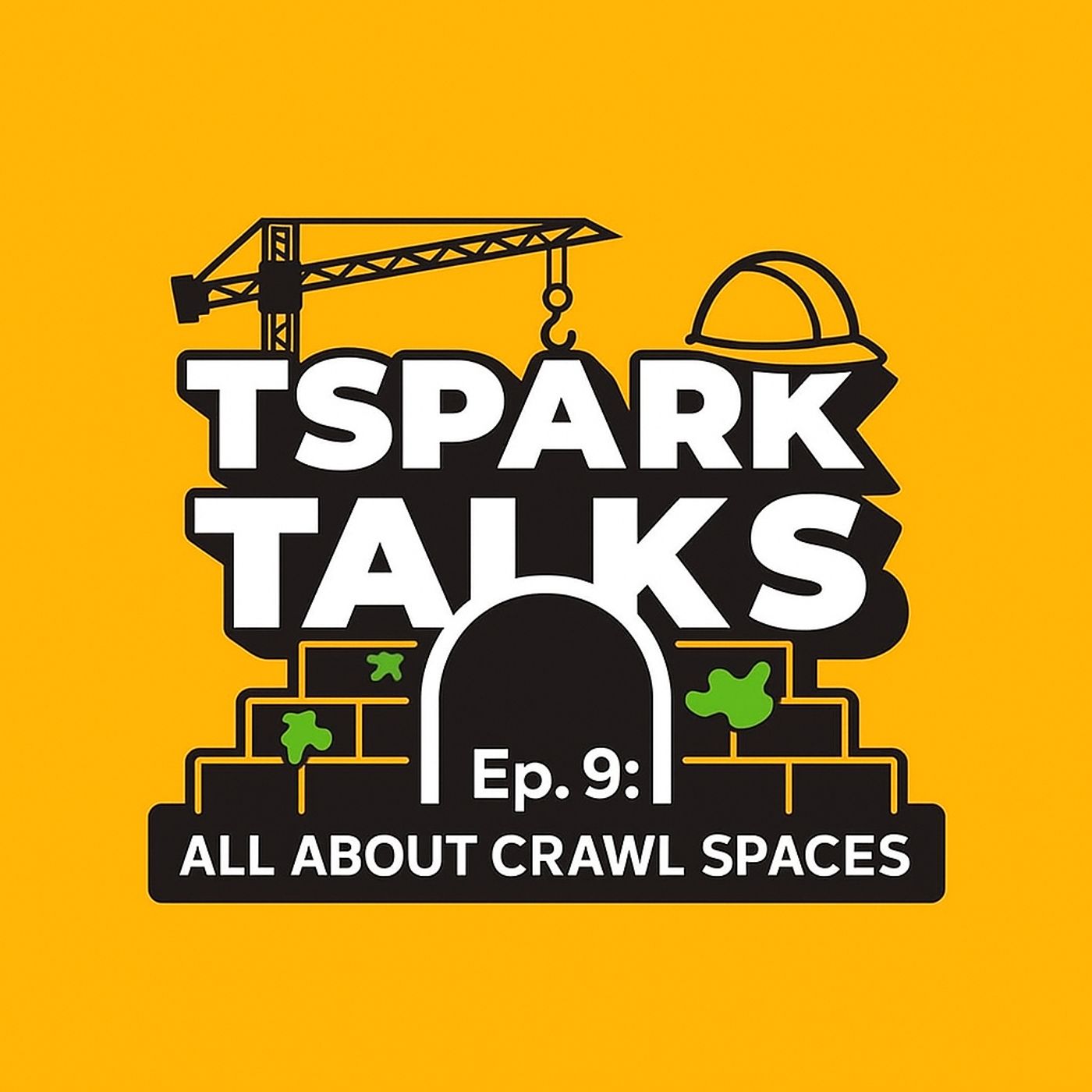 Ep. 9 | All About Crawl Spaces