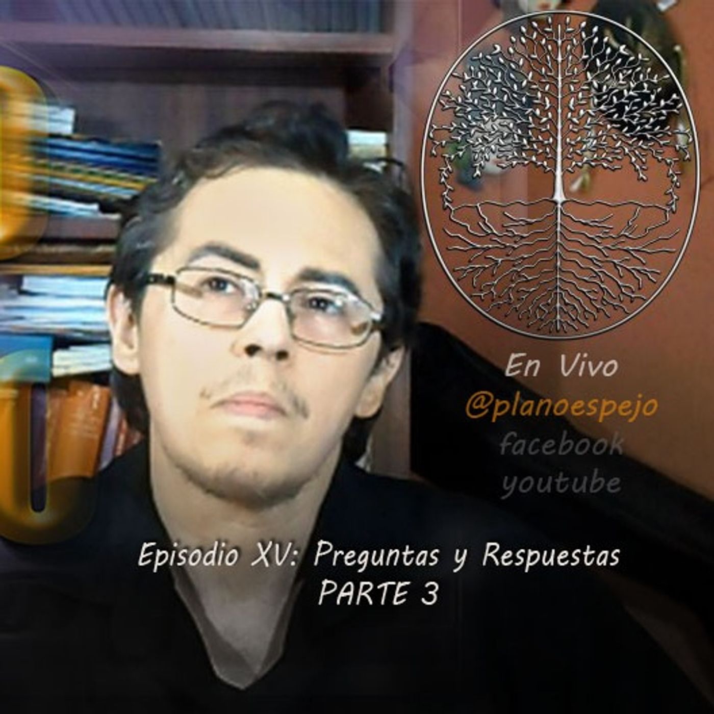 Plano Espejo: Develando lo Oculto