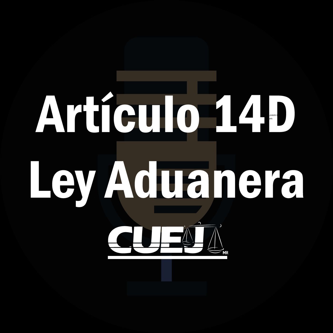 Audio Ley Aduanera