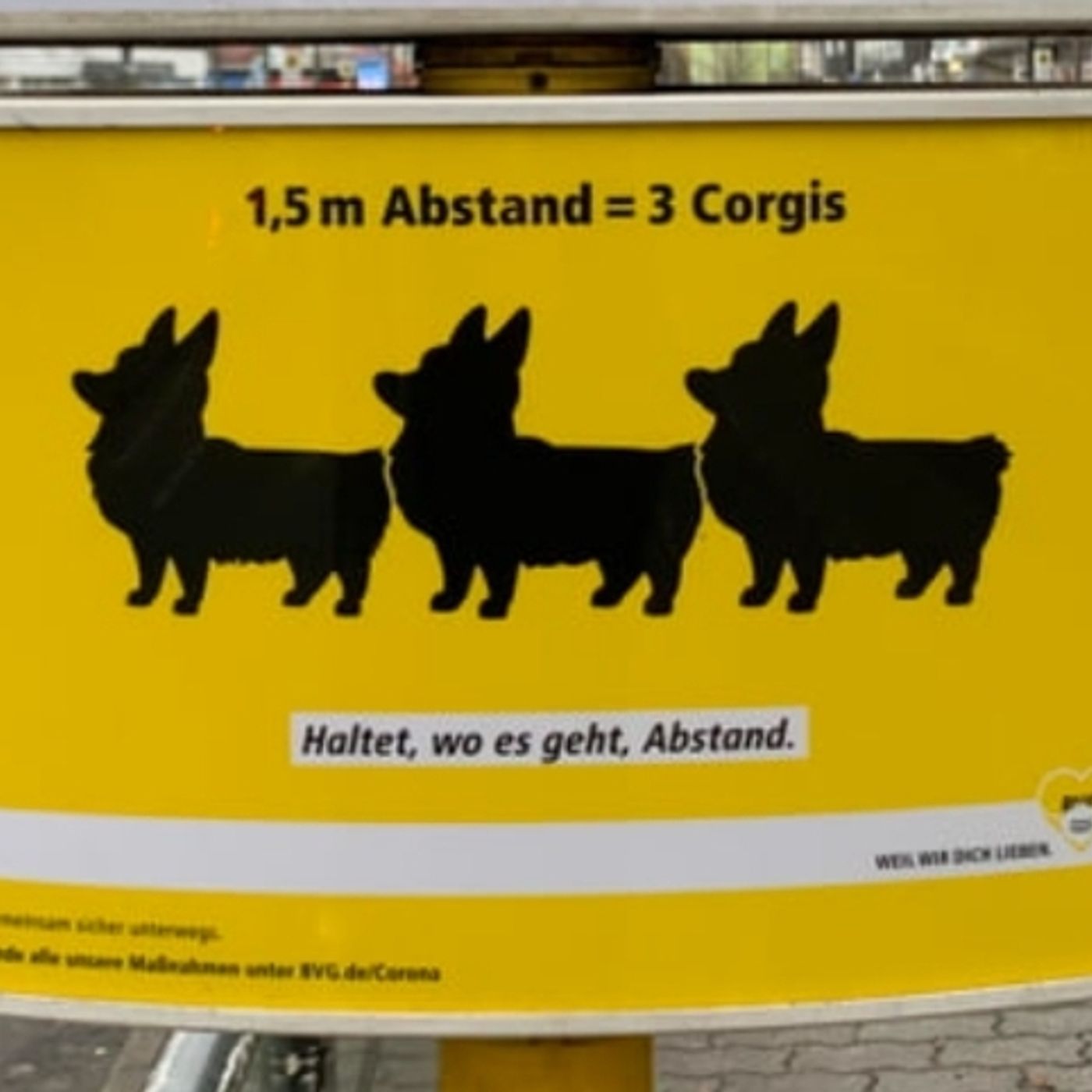 Mittwochs in der Bibliothek