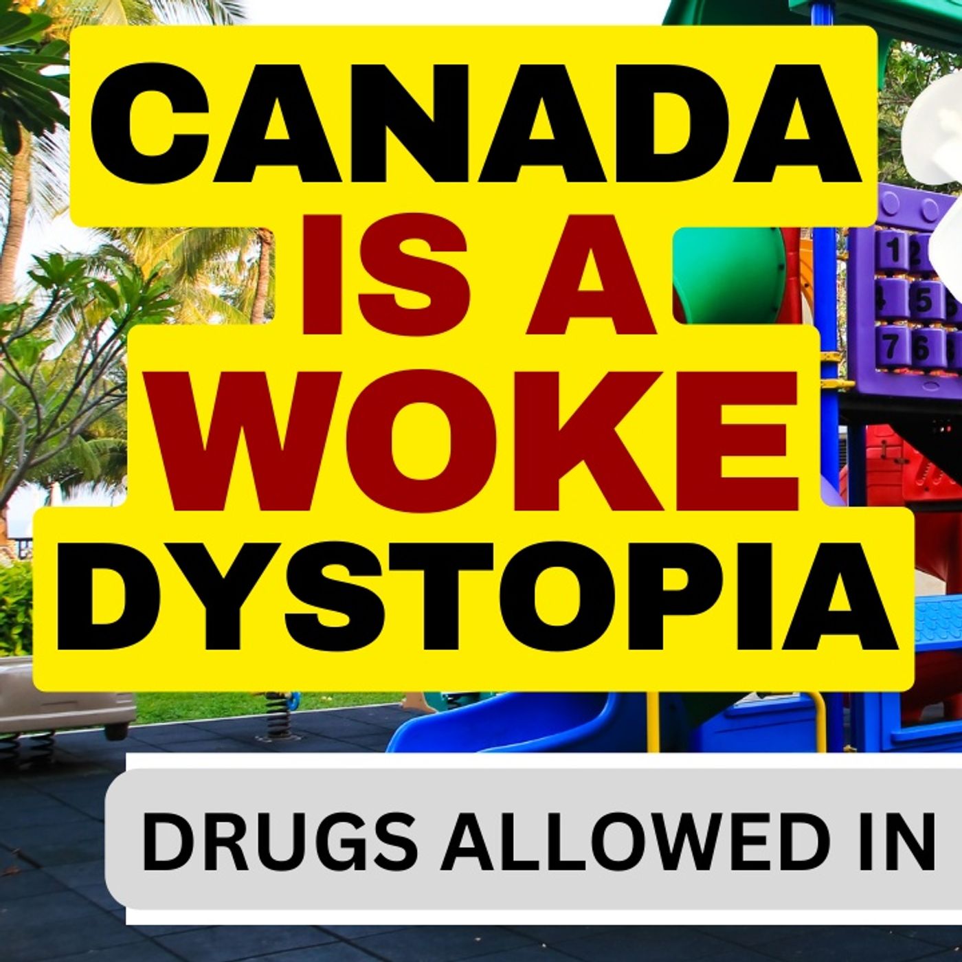 Canadian Judge Rules Addicts Can Use At Playgrounds #canadaisbroken episode artwork